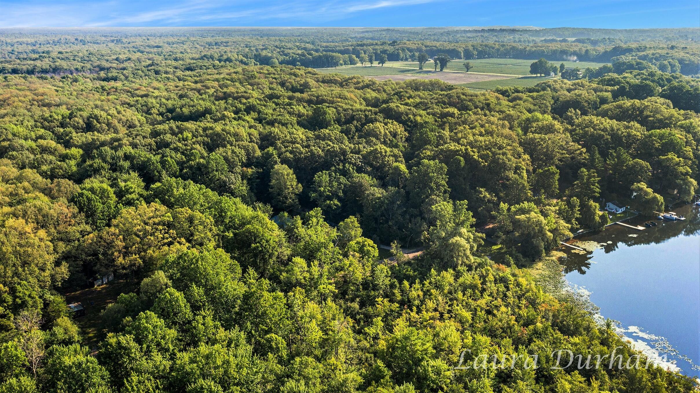 Grand Junction, Allegan County, MI Undeveloped Land, Homesites for sale