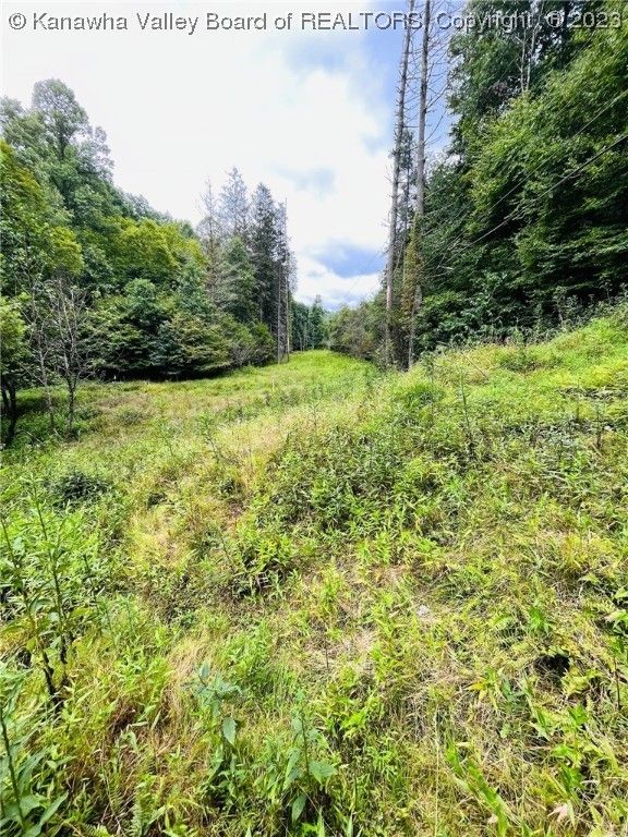 Clendenin, Kanawha County, WV Undeveloped Land, Lakefront Property