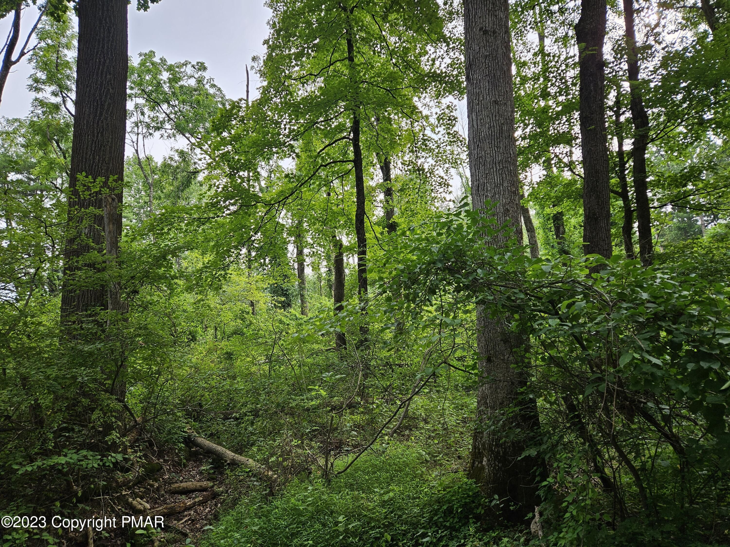 Saylorsburg, Monroe County, PA Undeveloped Land for sale Property ID