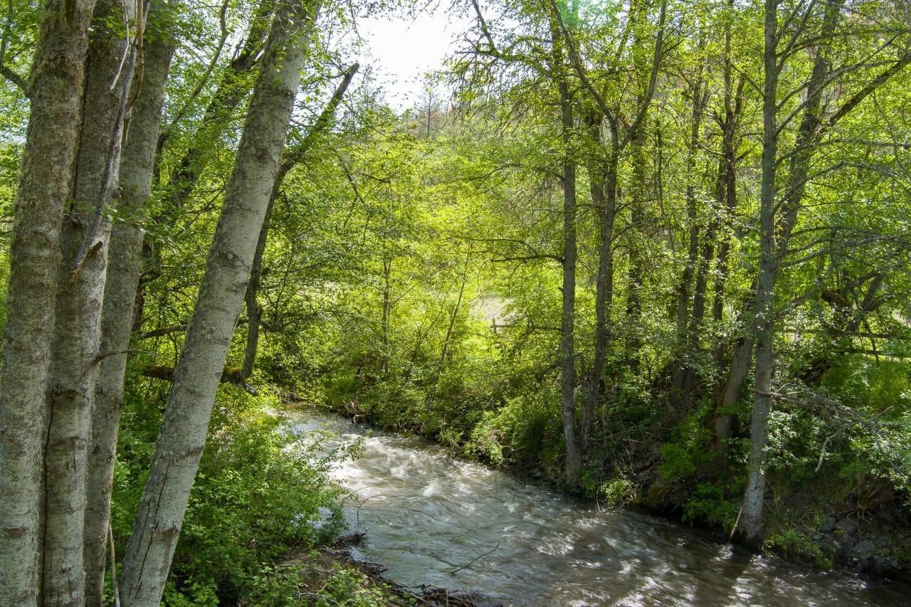 Jacksonville, Jackson County, OR Horse Property, Riverfront Property