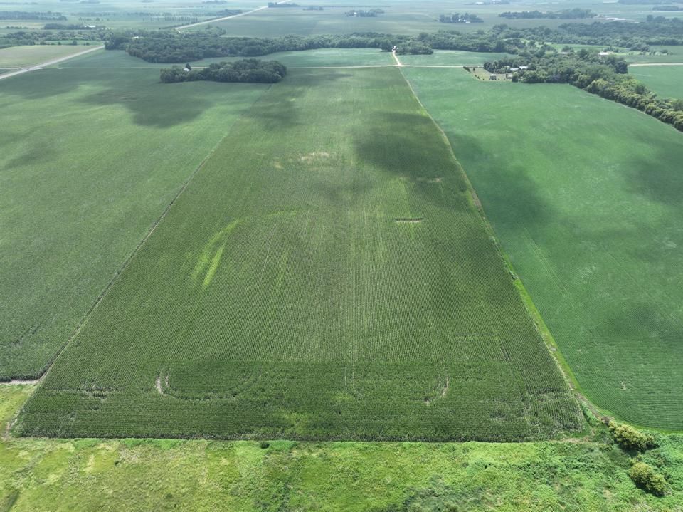 Northrop, Martin County, MN Farms and Ranches for auction Property ID 417290130 LandWatch