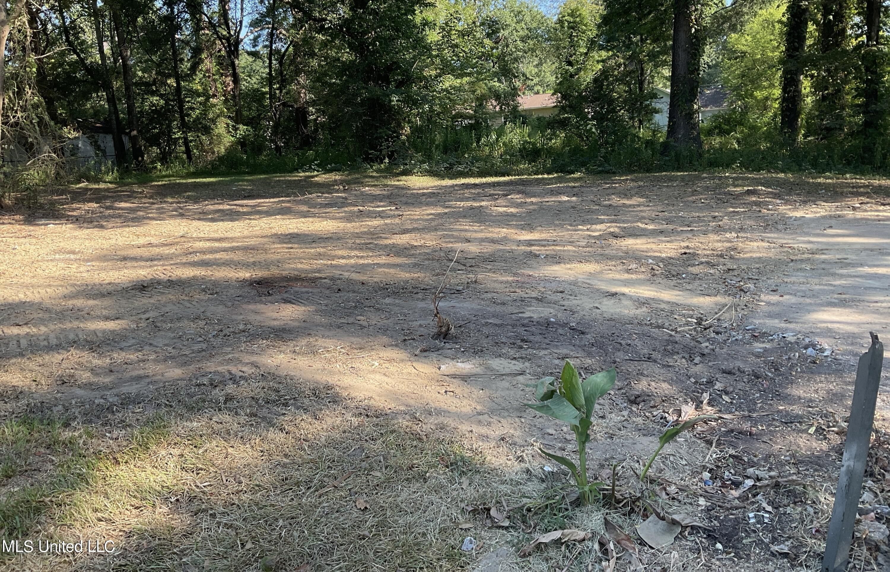 Jackson, Hinds County, MS Undeveloped Land, Homesites for sale Property