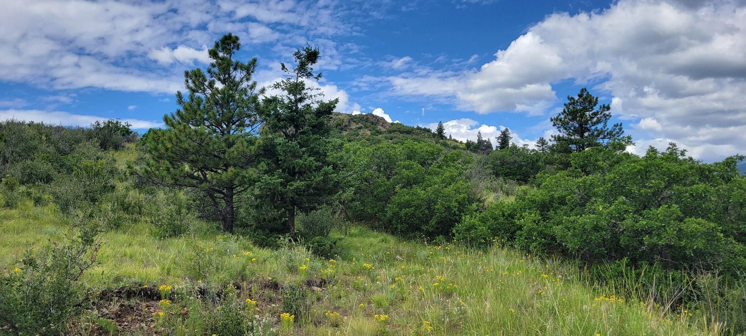 RR, Canon City, CO 81212 LandWatch