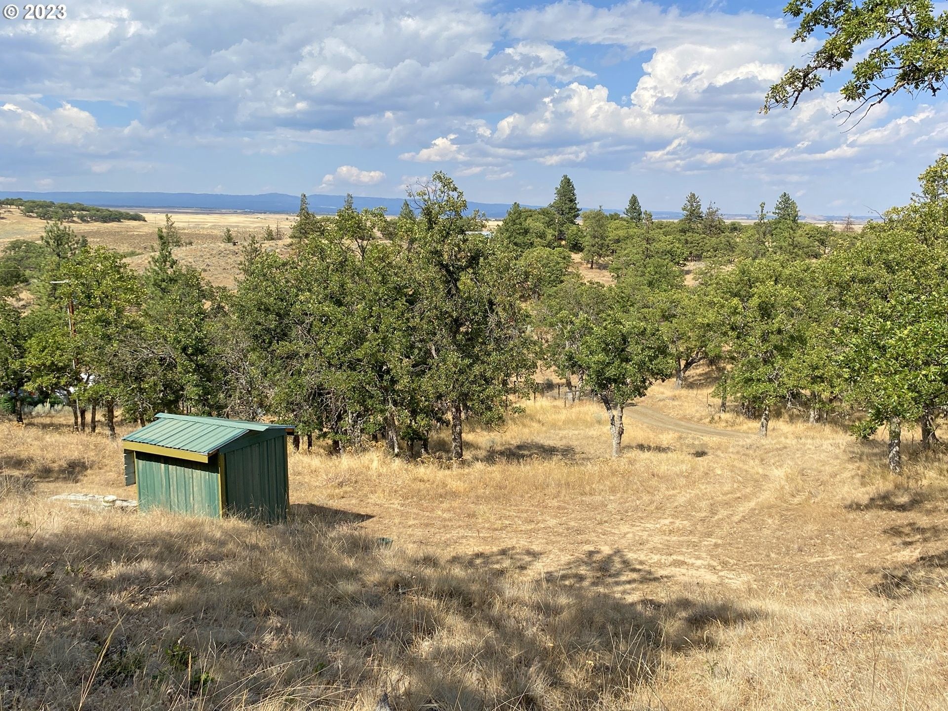 Goldendale, Klickitat County, WA Undeveloped Land for sale Property ID