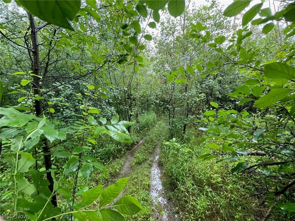 Mantua, Portage County, OH Undeveloped Land, Homesites for sale