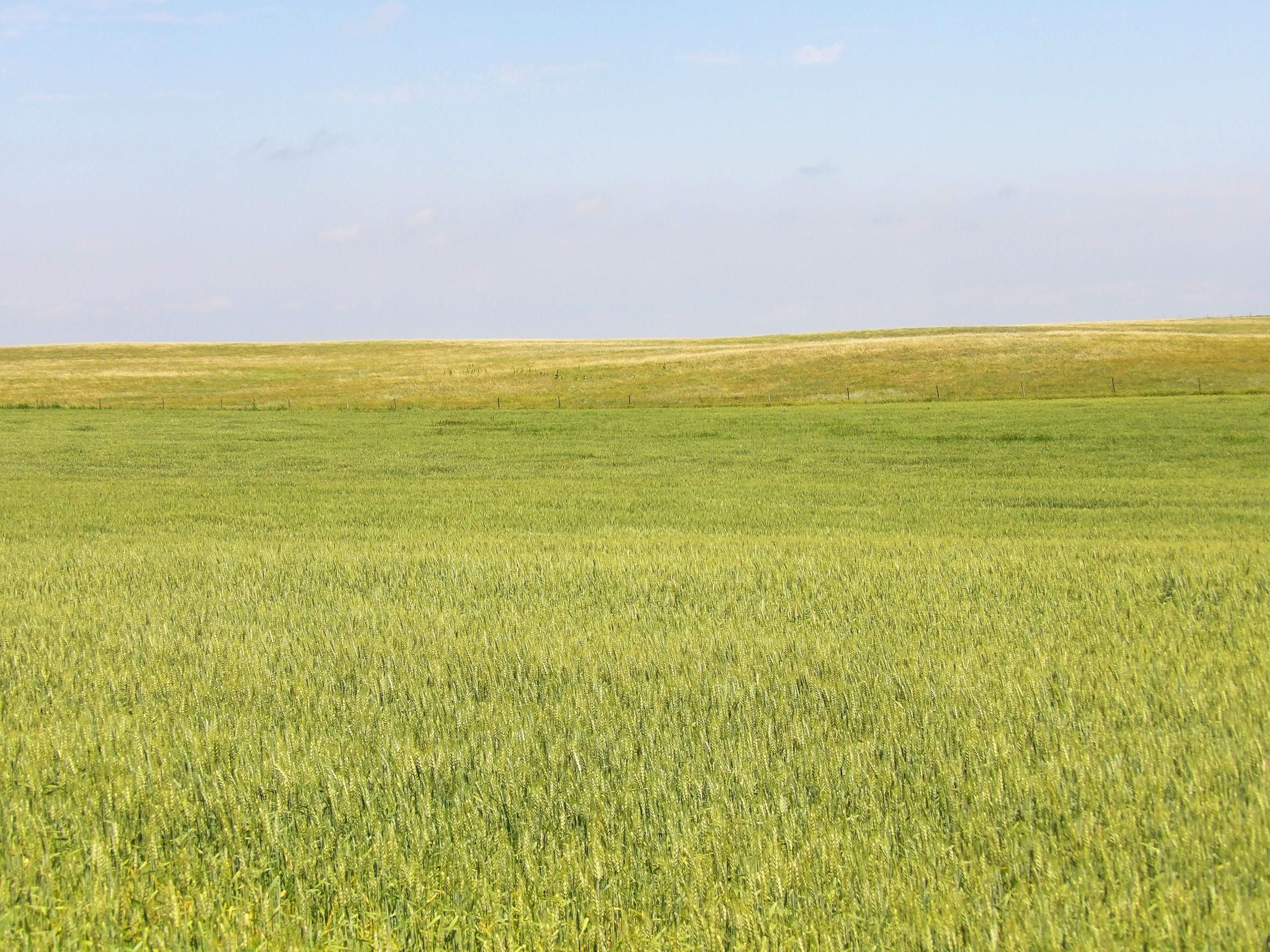 Gordon, Sheridan County, NE Farms and Ranches for sale Property ID