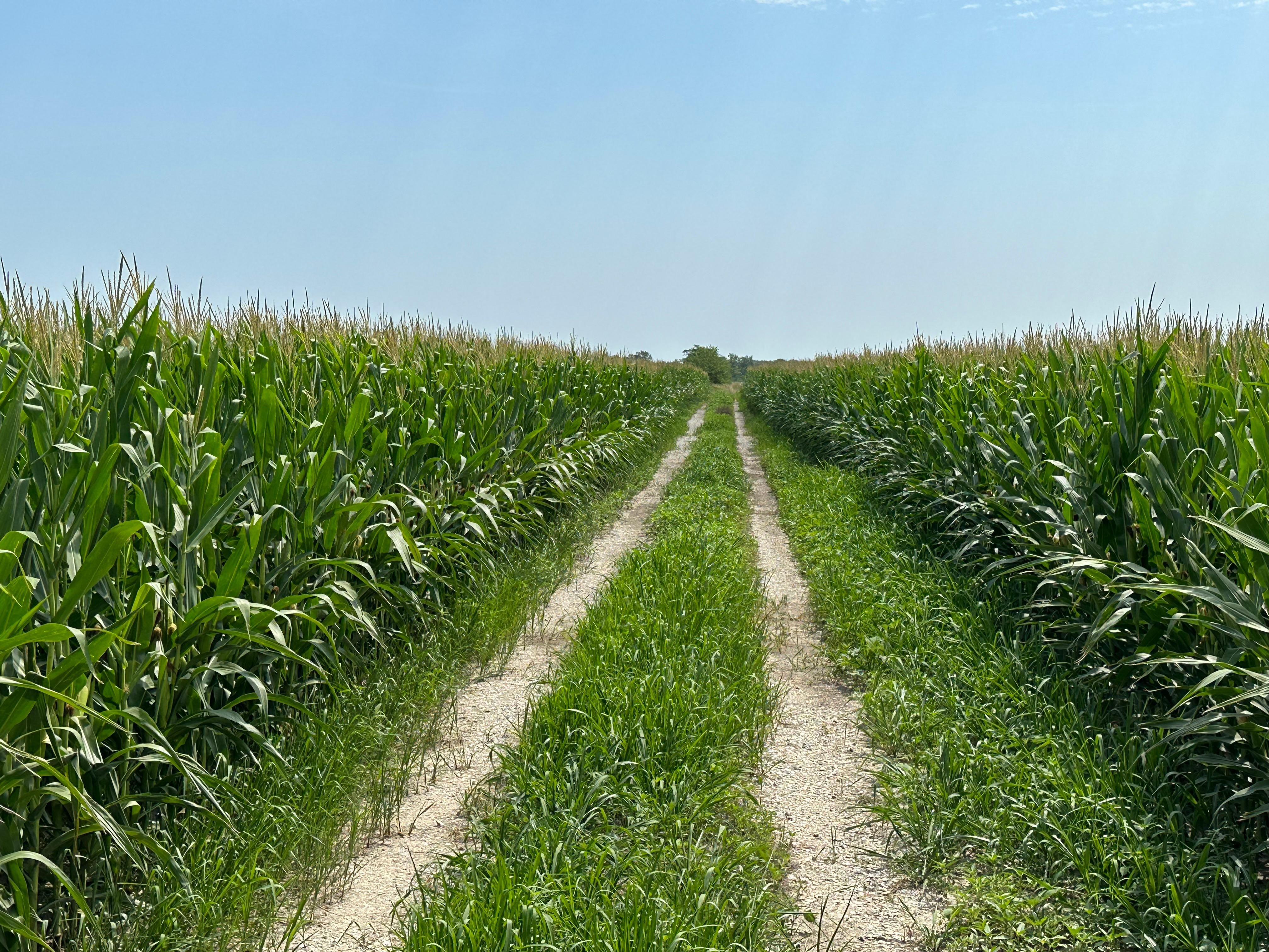 50512 Elk Road, Edina, MO 63537 MLS 33508 LandWatch