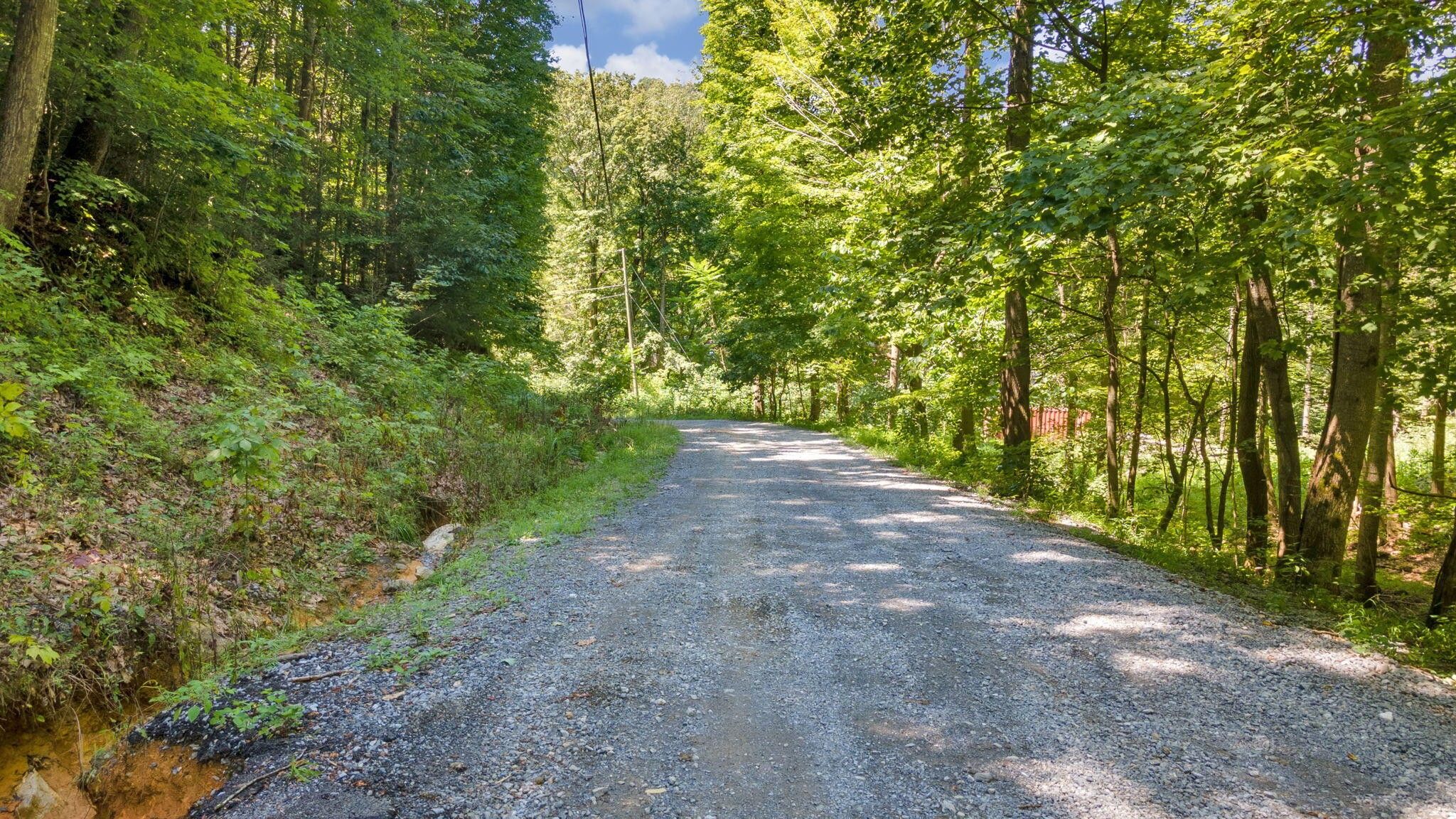Johnson City, Carter County, TN Farms and Ranches for sale Property ID