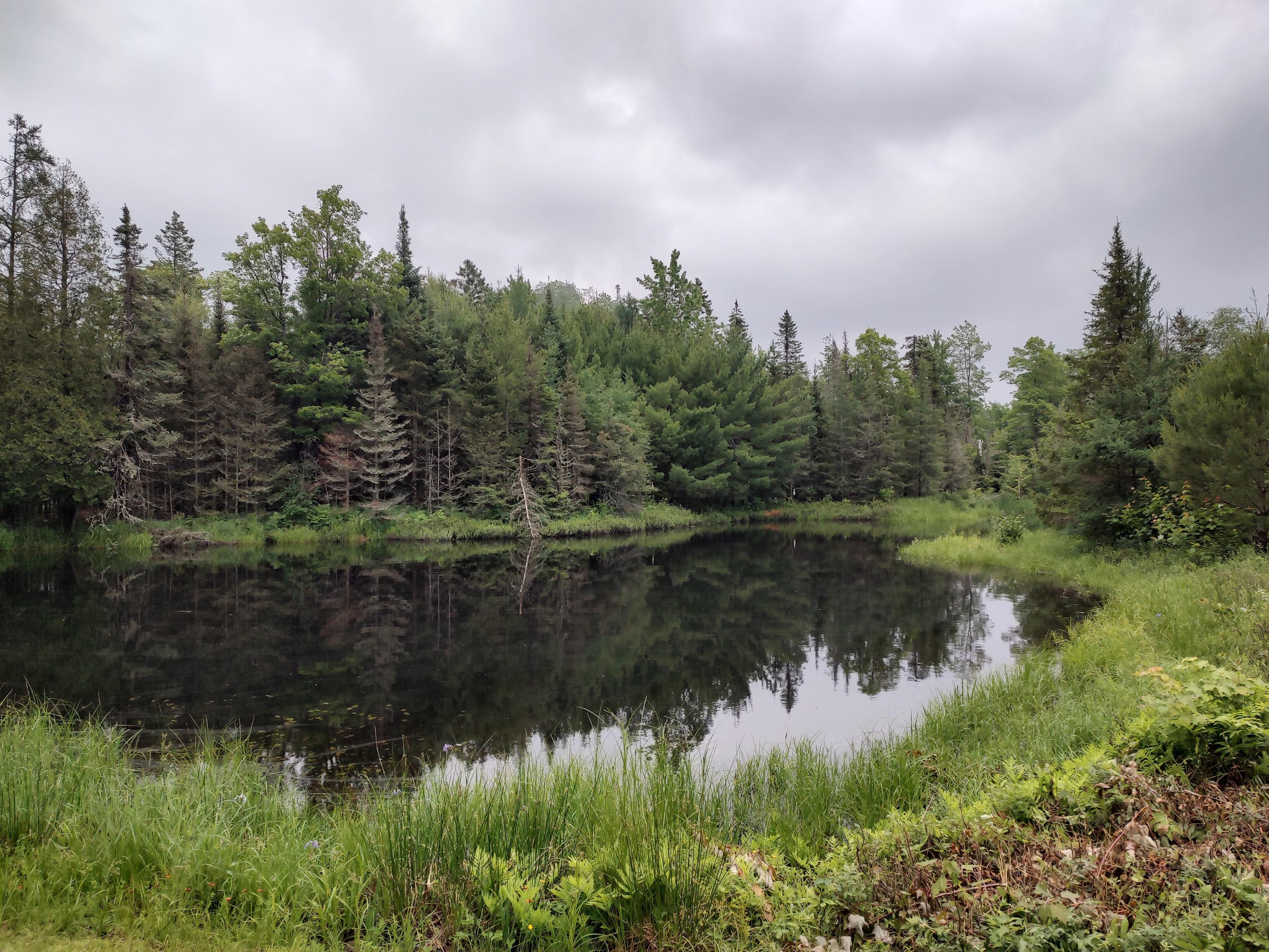 Michigamme, Marquette County, MI Recreational Property, Undeveloped