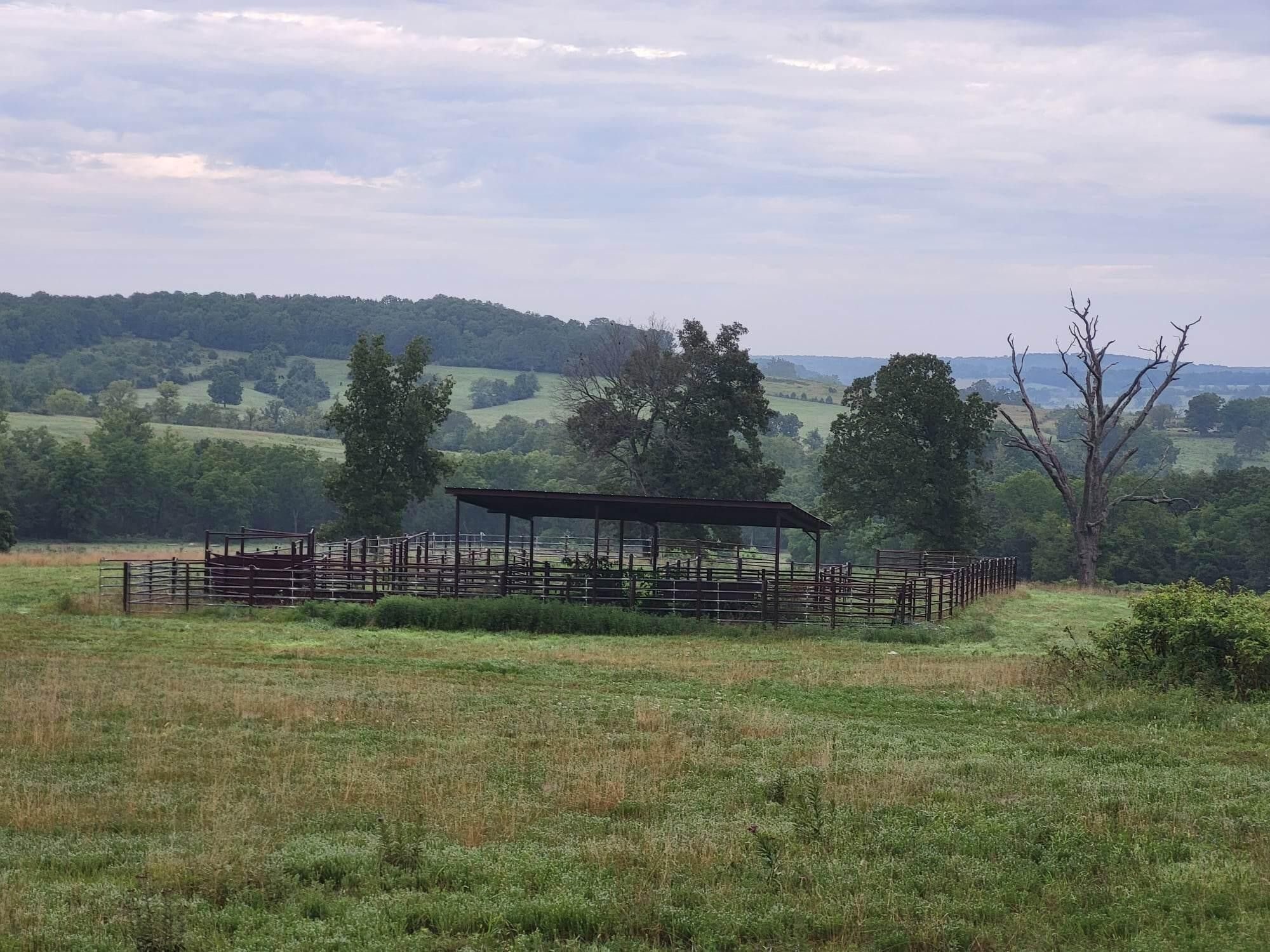Mountain Grove, Wright County, MO Undeveloped Land for sale Property ID