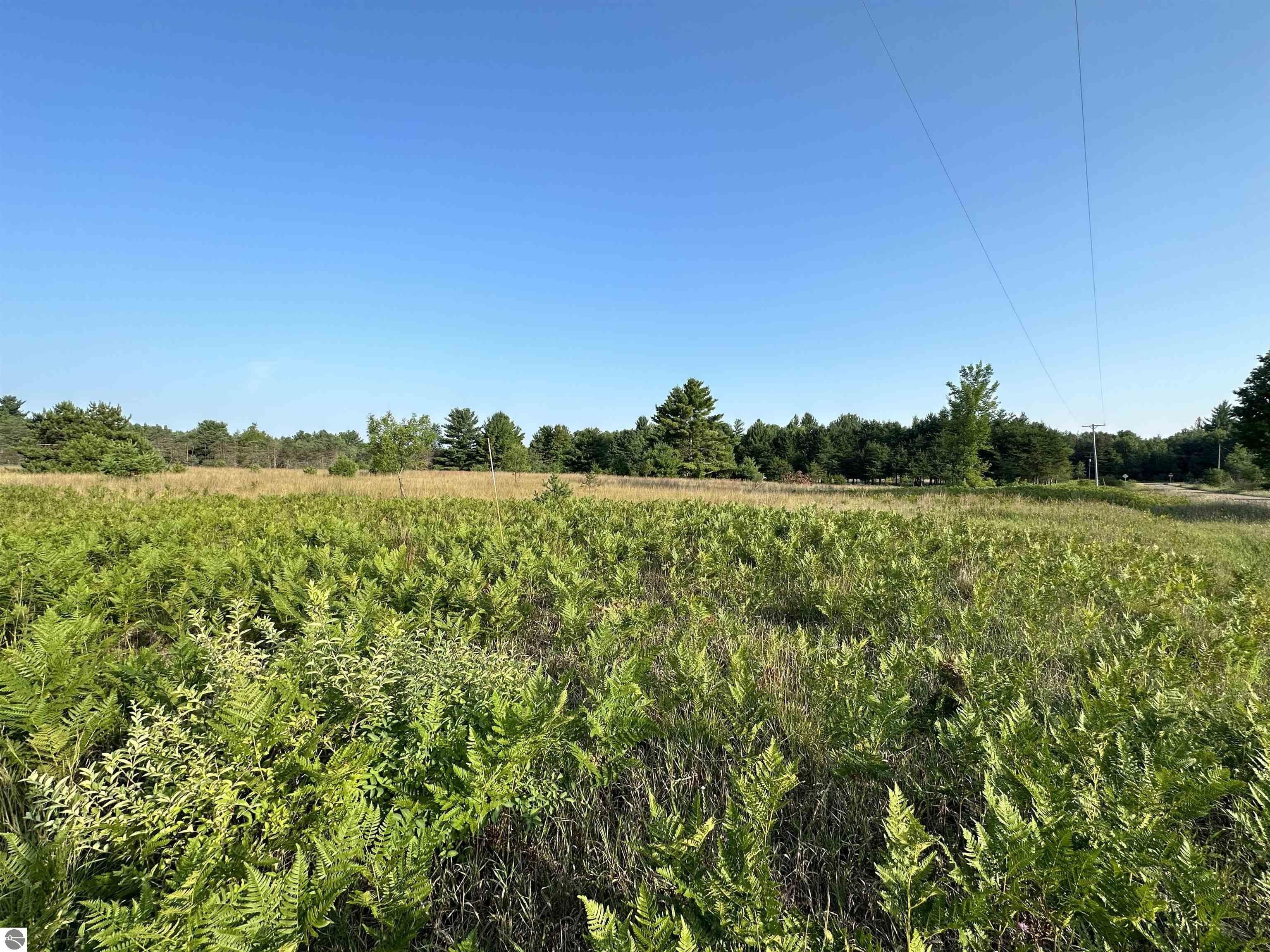 Mesick, Wexford County, MI Undeveloped Land for sale Property ID