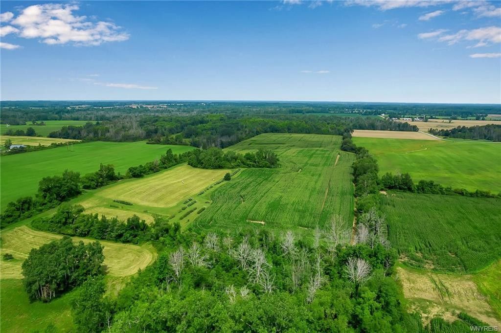 Middleport, Niagara County, NY Undeveloped Land for sale Property ID 417296803 LandWatch