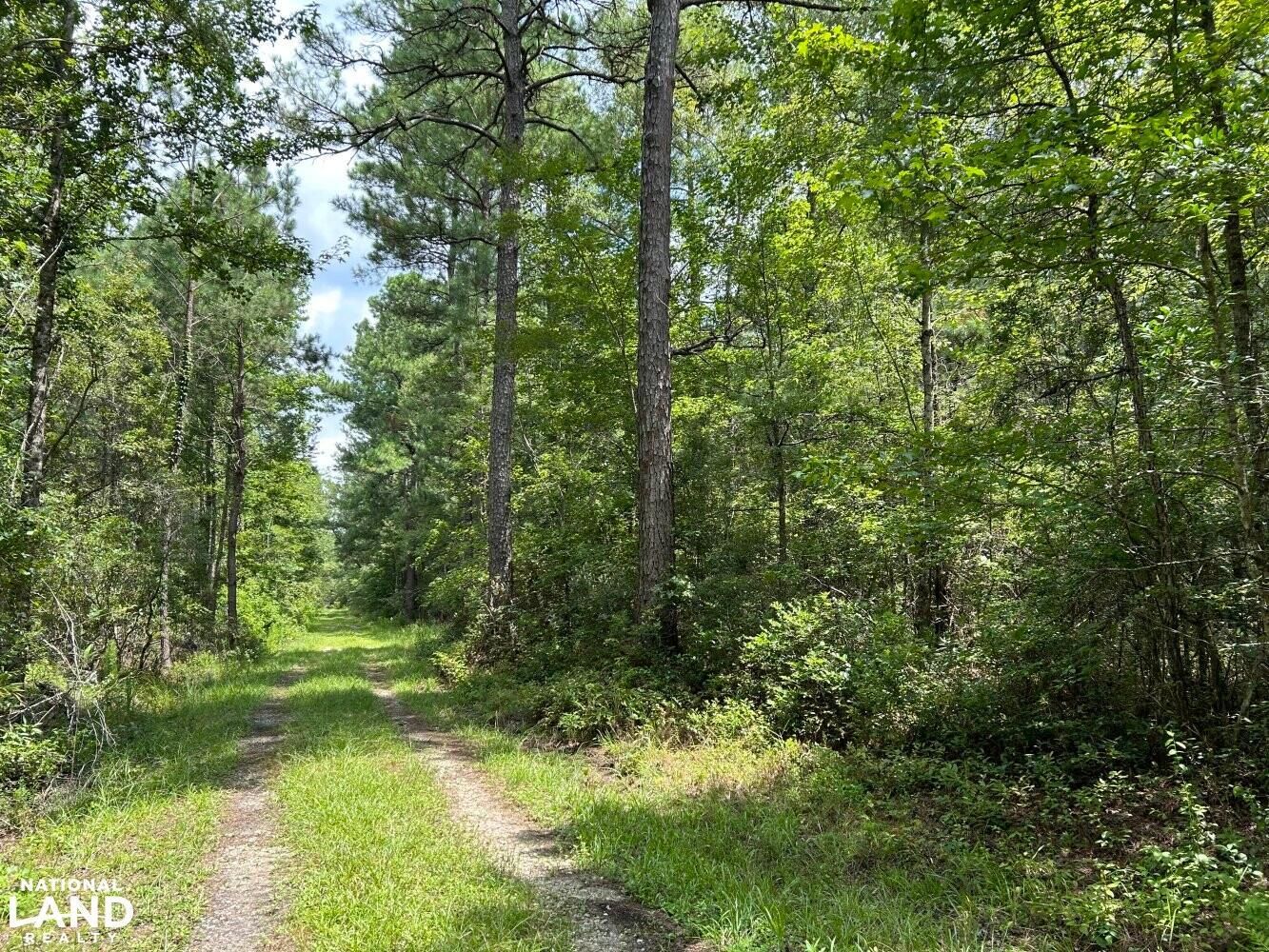 Off Buxton Rd, Manning, SC 29102 LandWatch