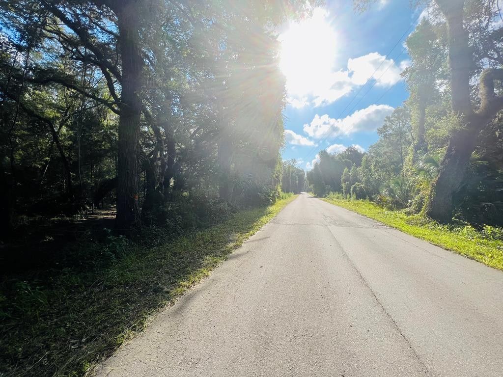 Old Town, Dixie County, FL Undeveloped Land for sale Property ID