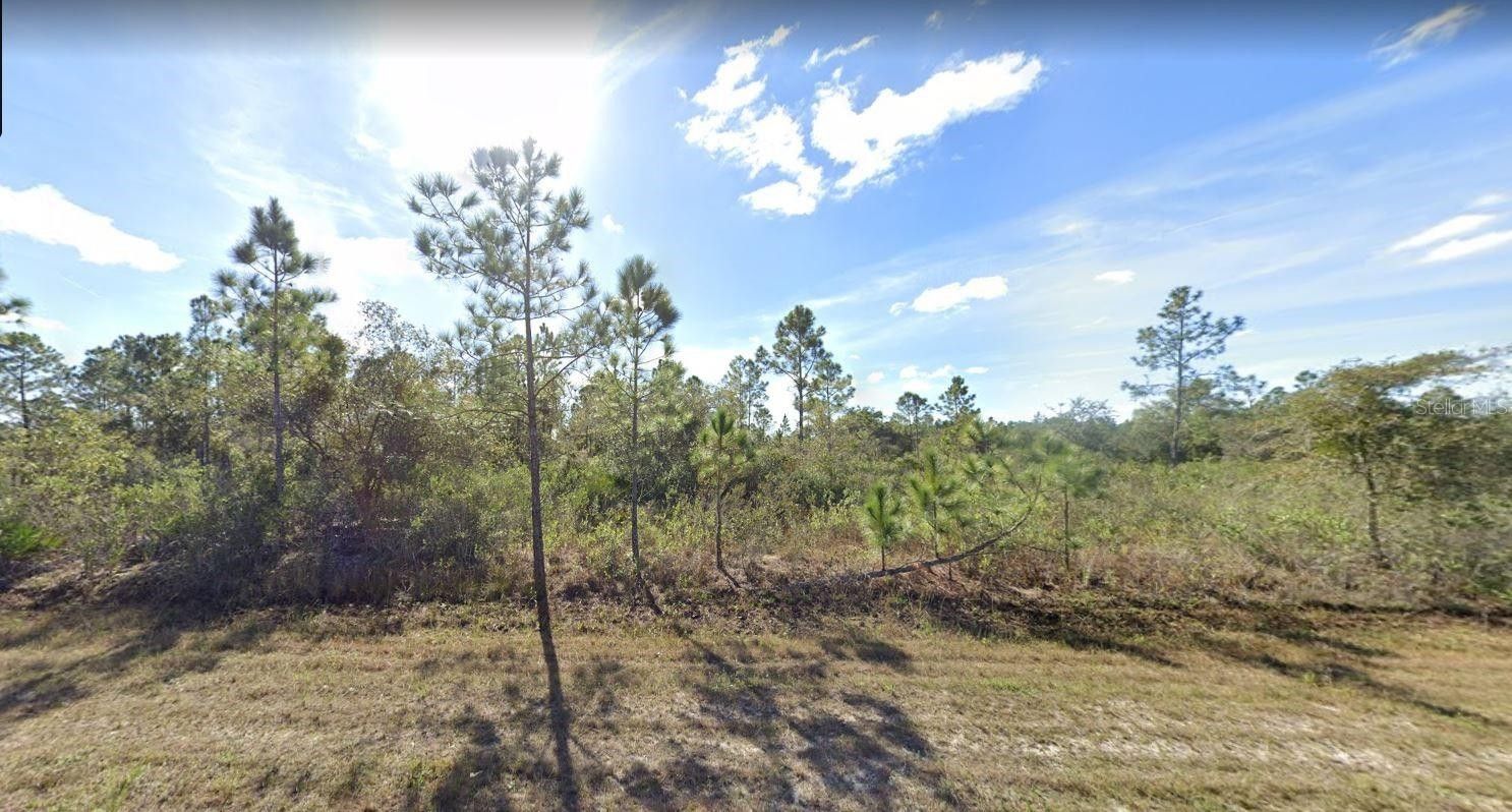 Indian Lake Estates, Polk County, FL Undeveloped Land, Homesites for