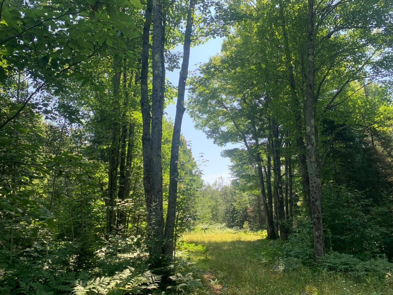 Mellen, Ashland County, WI Farms and Ranches for sale Property ID