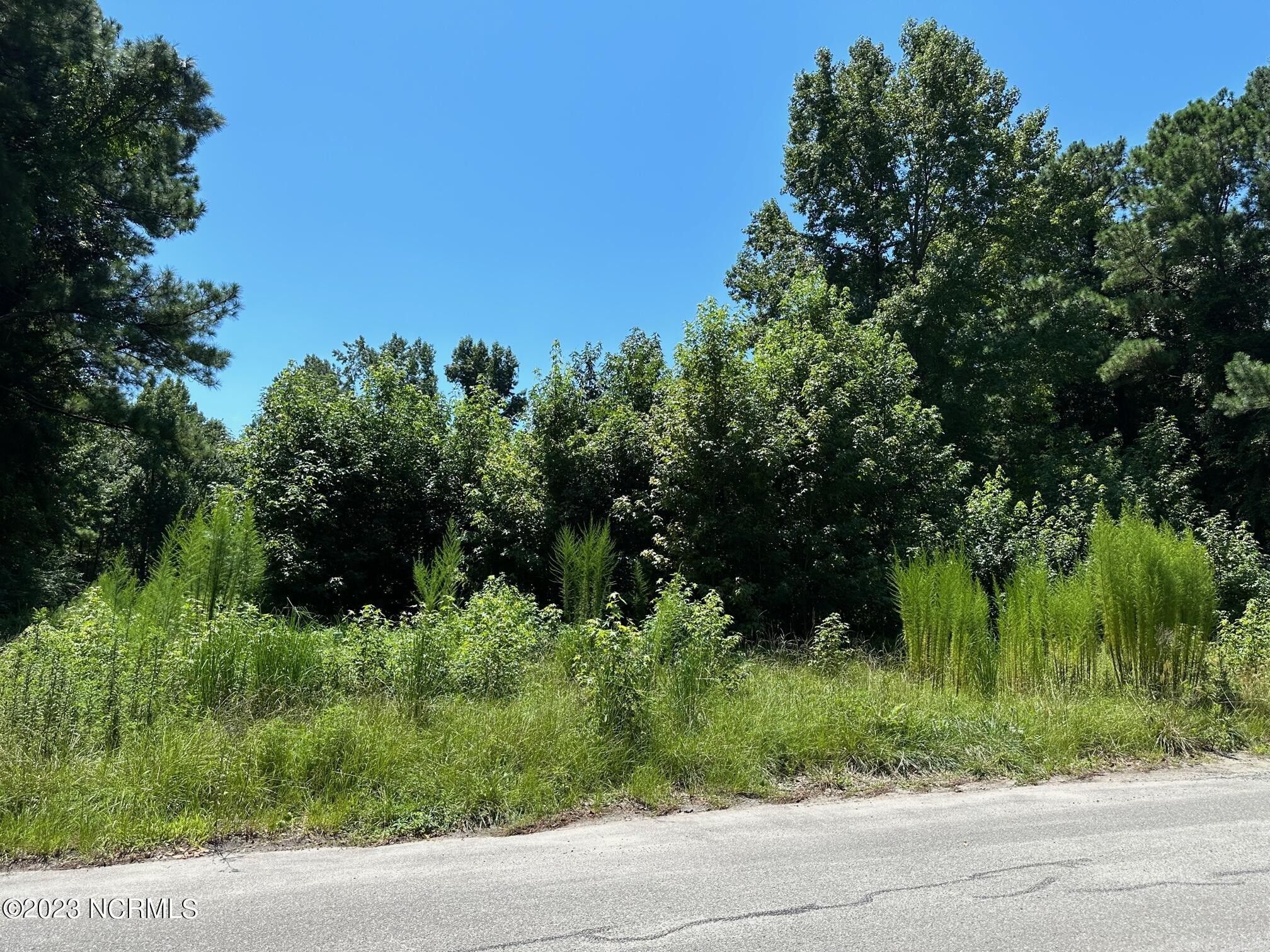 Wilmington, New Hanover County, NC Farms and Ranches, Homesites for