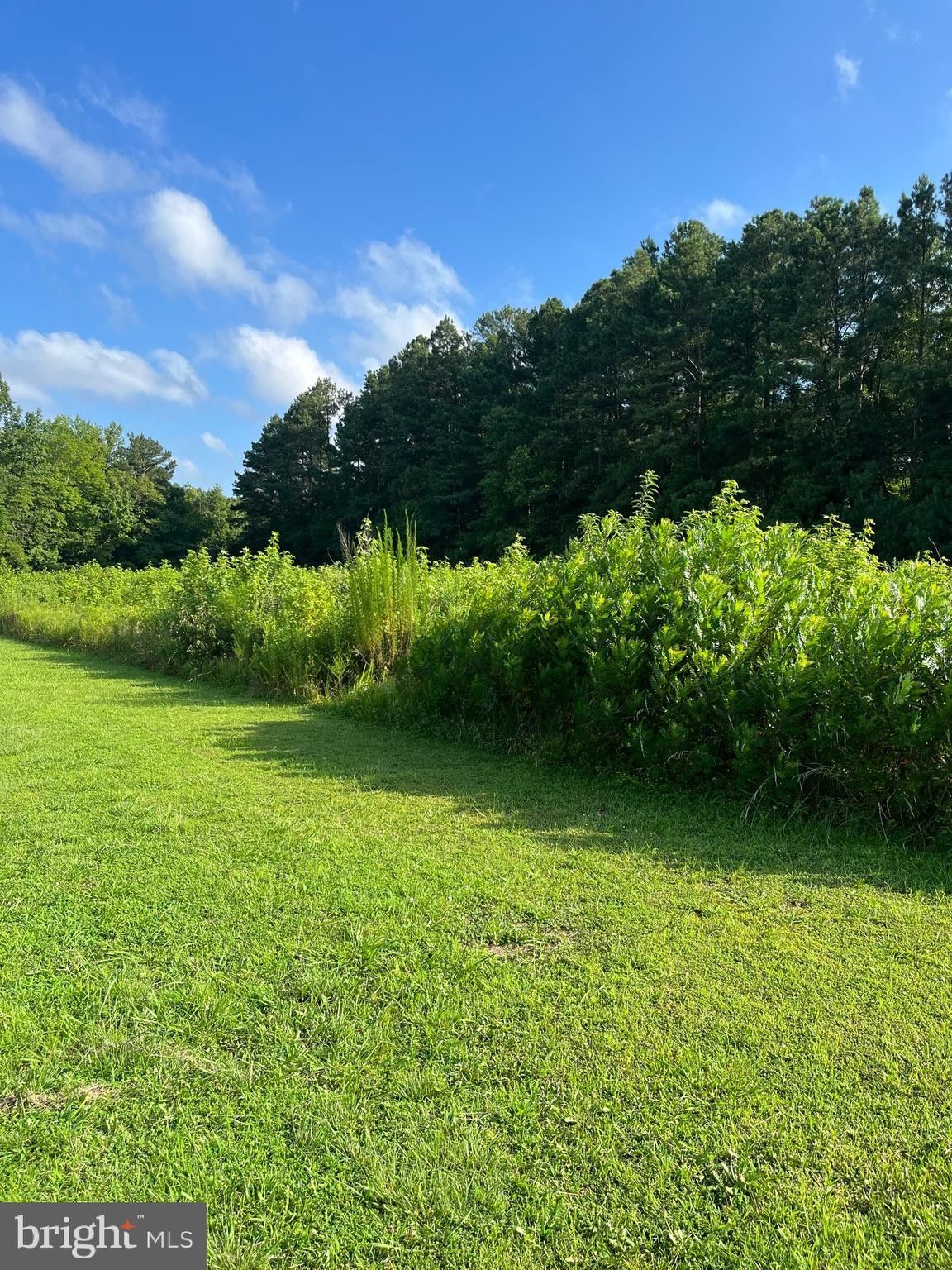 Eden, County, MD Undeveloped Land for sale Property ID