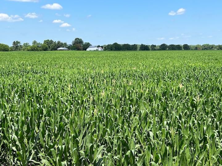 Farmington, Fulton County, IL Farms and Ranches for auction Property ID