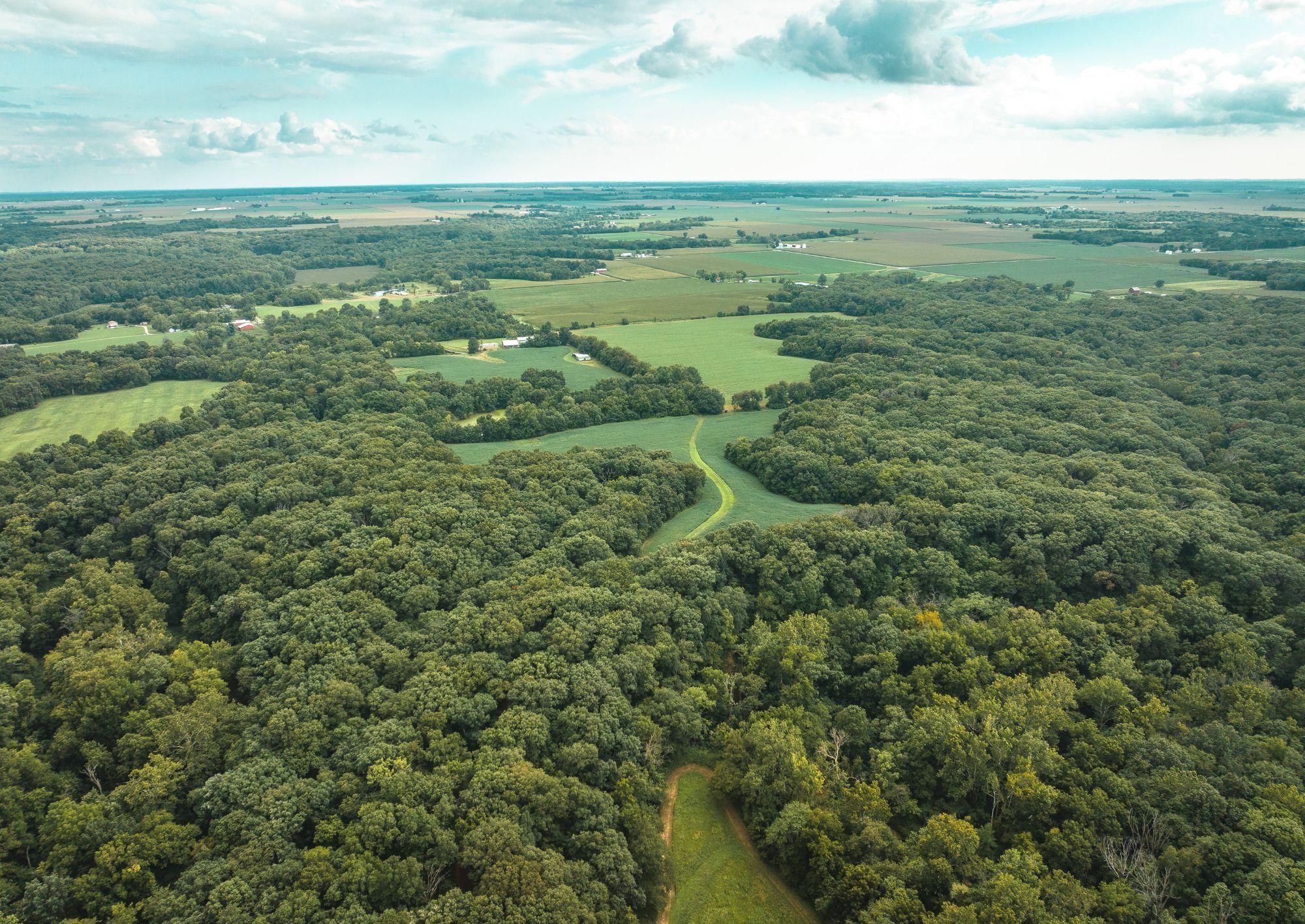 Medora, Macoupin County, IL Farms and Ranches, Recreational Property