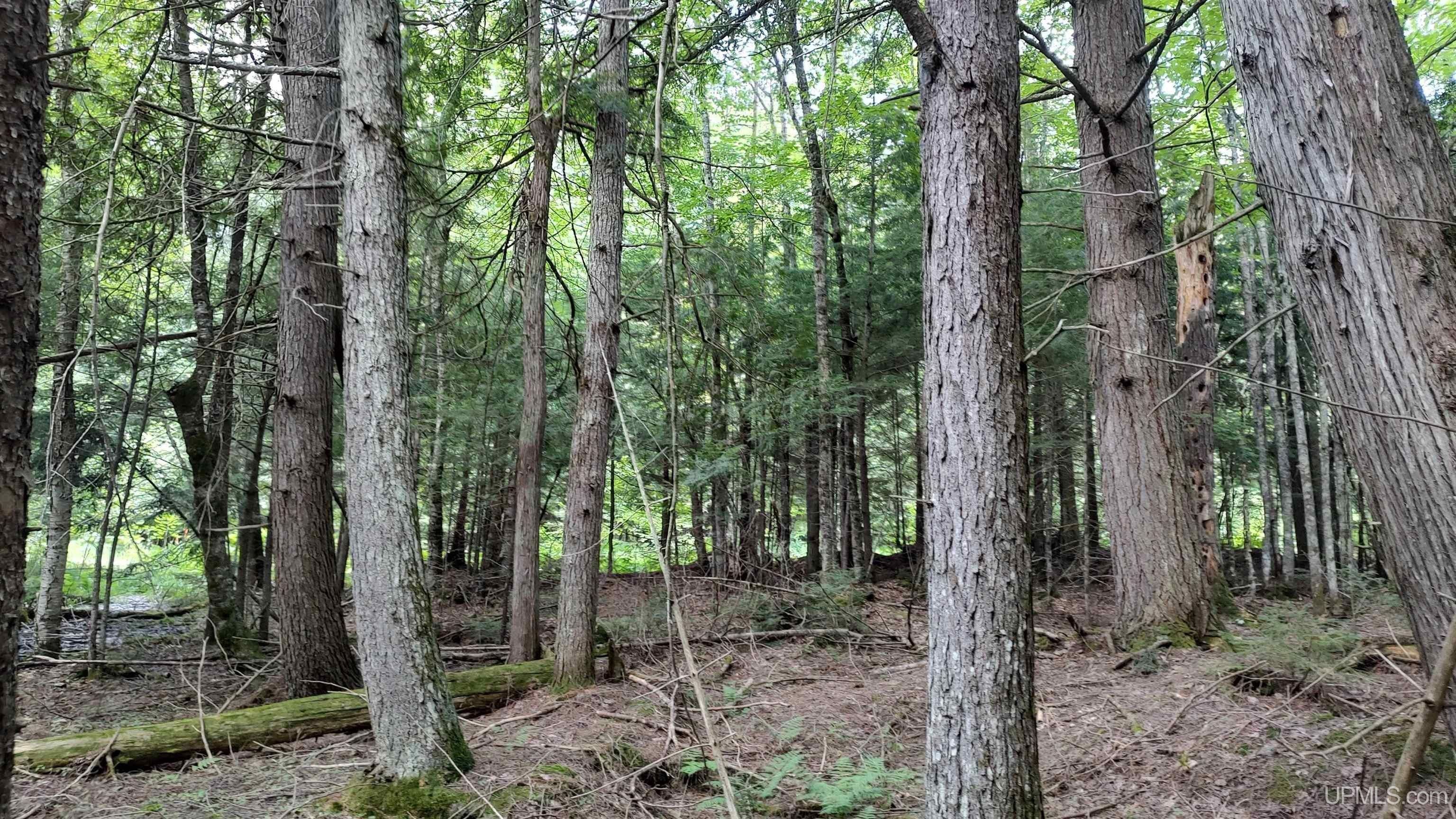 Nisula, Houghton County, MI Undeveloped Land for sale Property ID