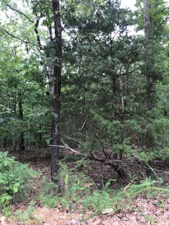 Ash Flat, Fulton County, AR Farms and Ranches, Homesites for sale