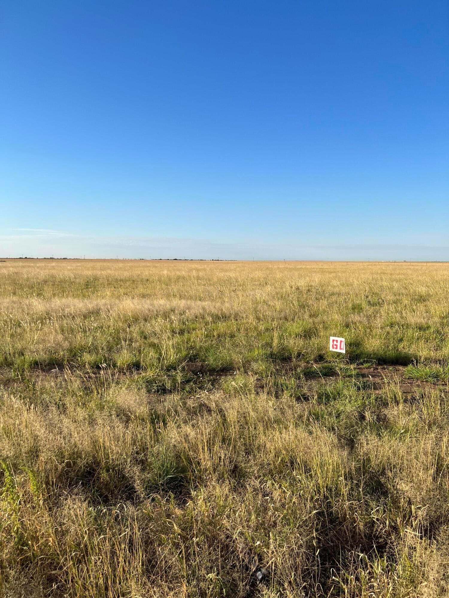 Amarillo, Randall County, TX Undeveloped Land for sale Property ID