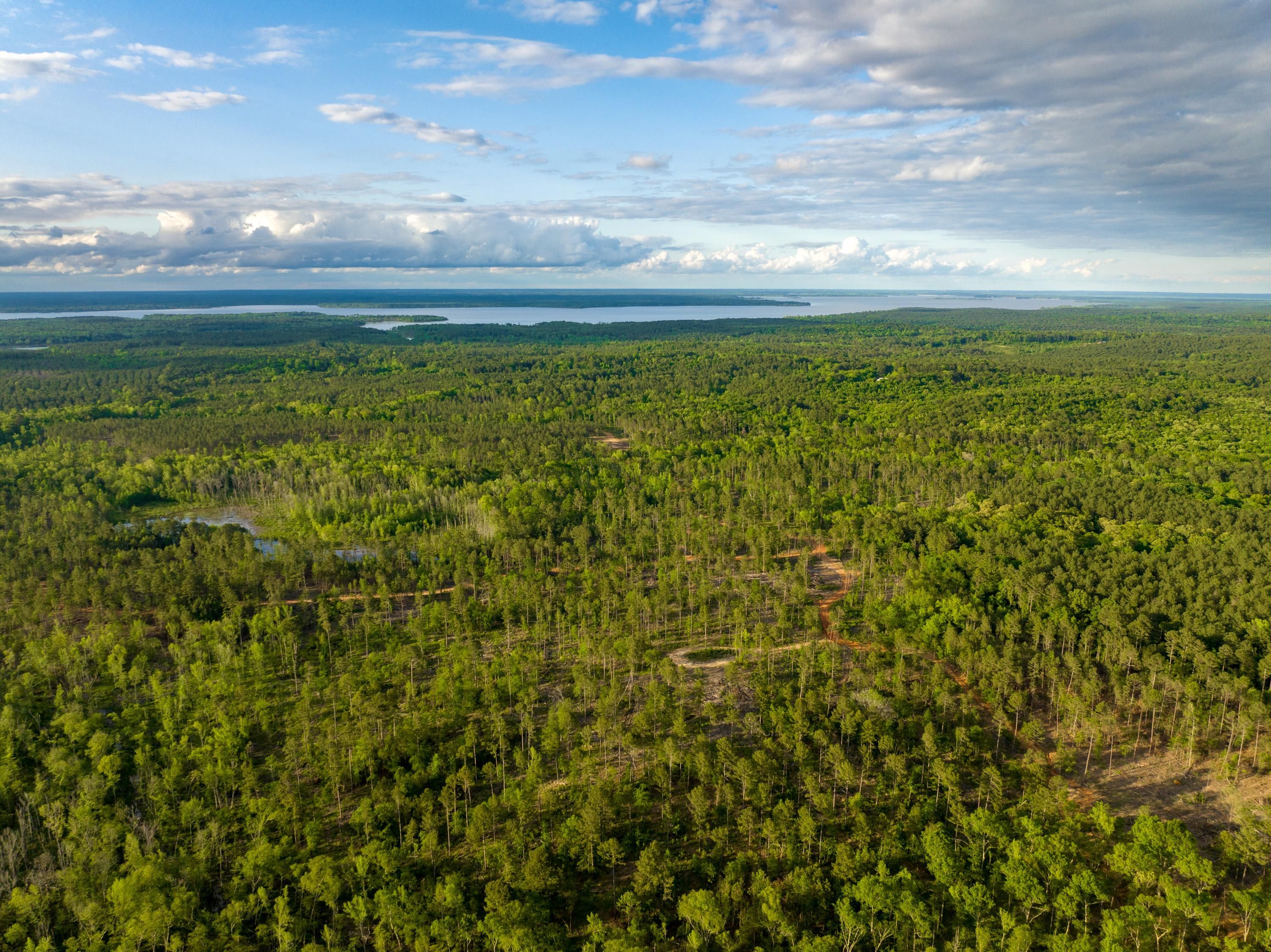 525 acres in Douglassville, TX, 75560 LandWatch