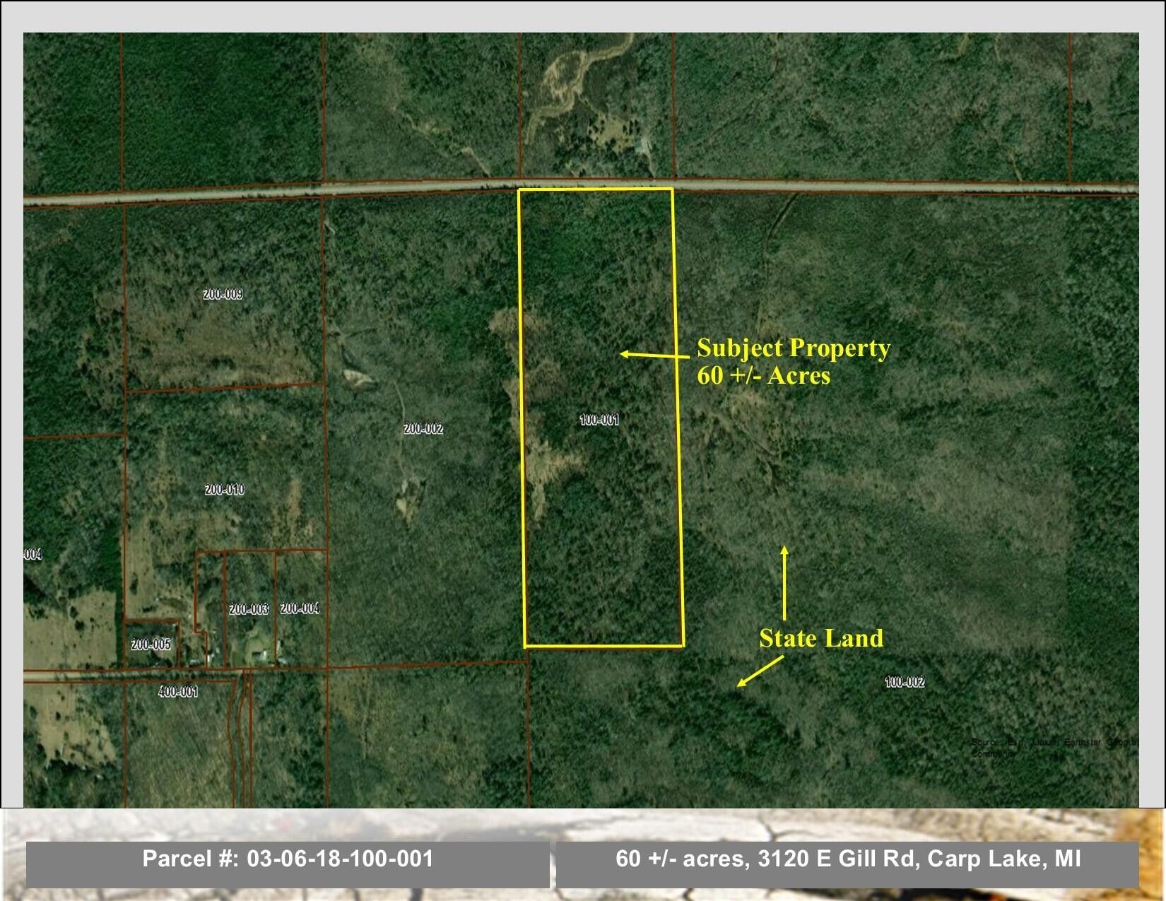Carp Lake, Emmet County, MI Undeveloped Land for sale Property ID