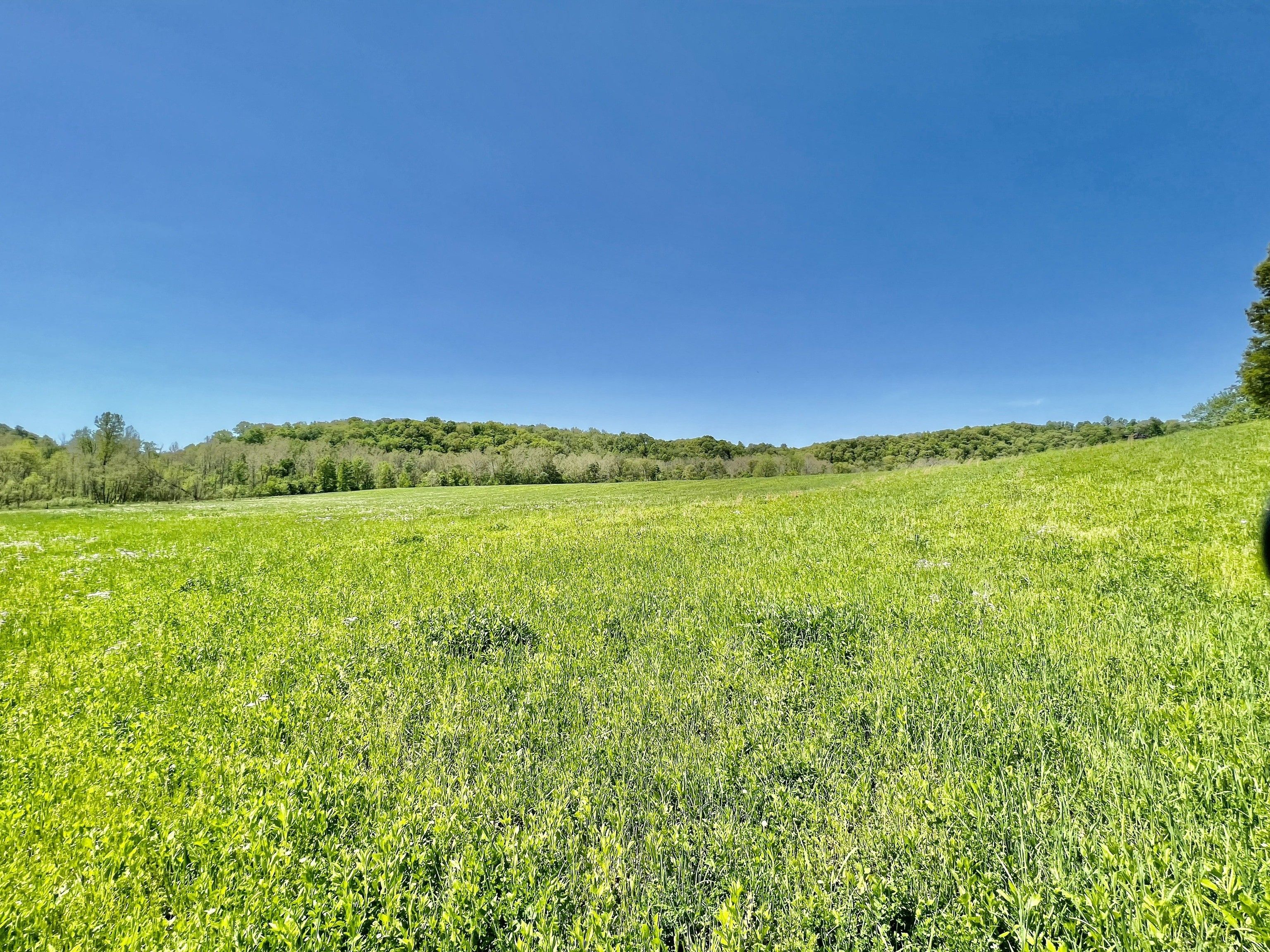 Versailles, Ripley County, IN Farms and Ranches for sale Property ID