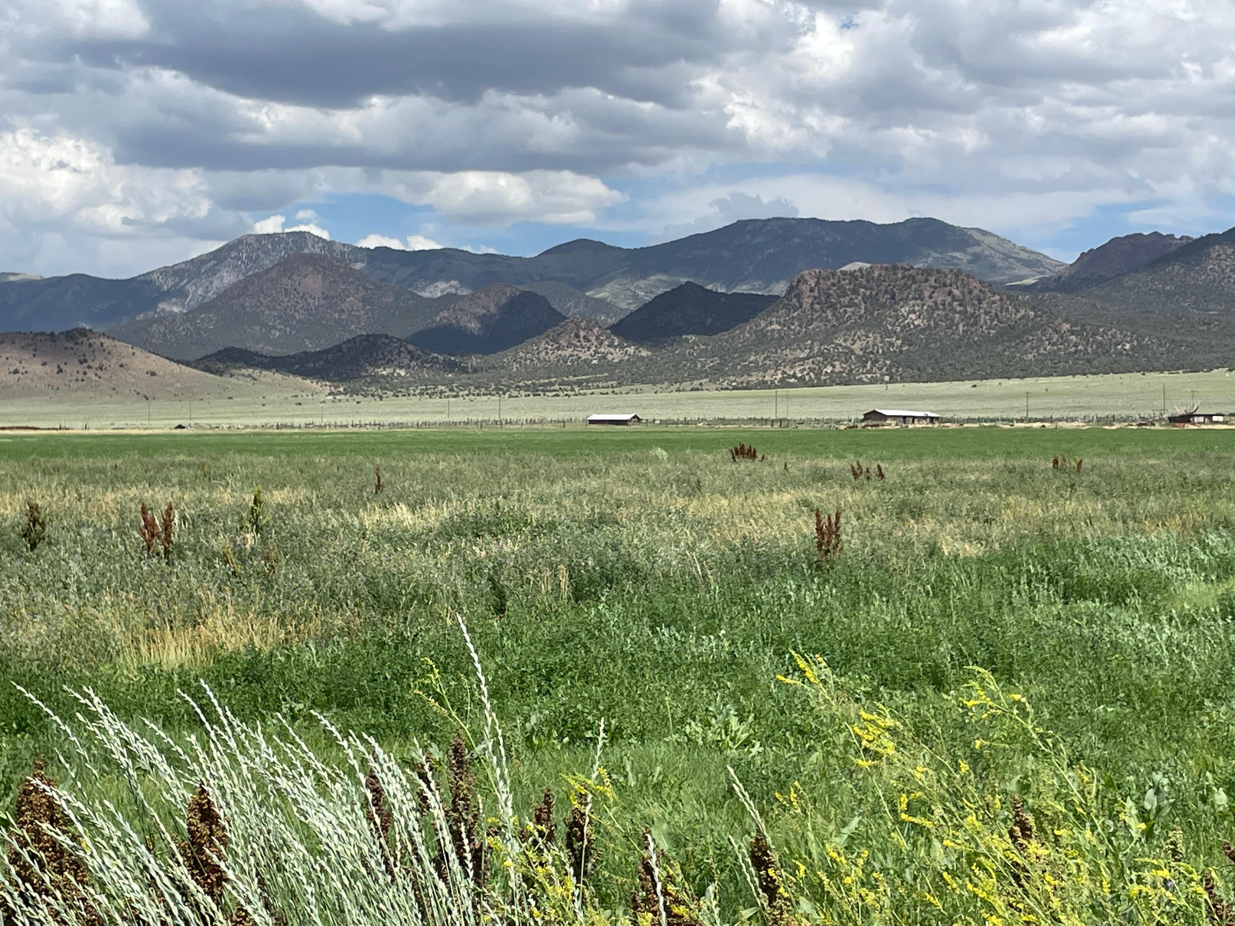 200 acres in Ely, NV, 89301 LandWatch