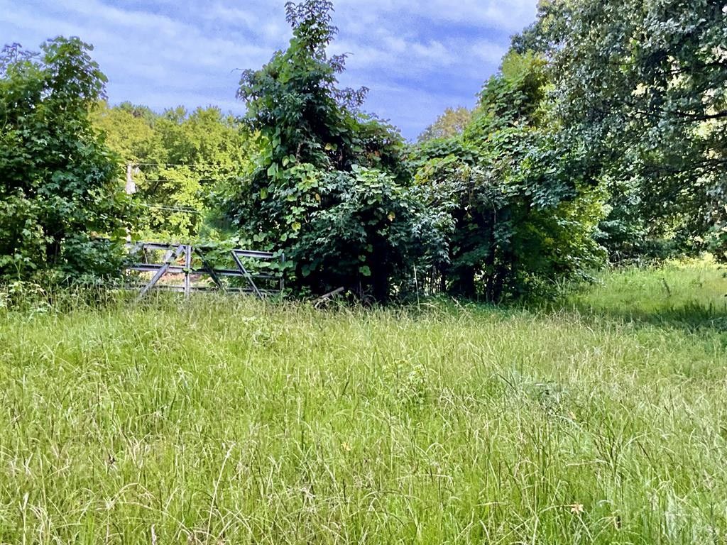 Oxford, Lafayette County, MS Undeveloped Land for sale Property ID