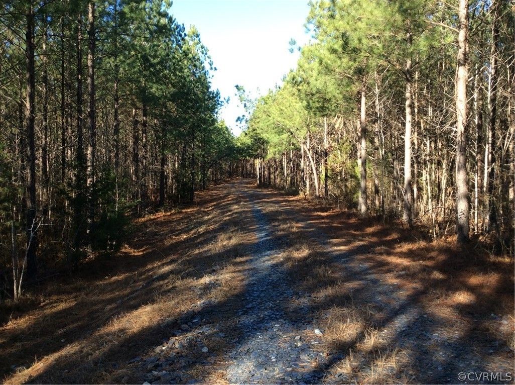Goochland, Goochland County, VA Undeveloped Land, Lakefront Property
