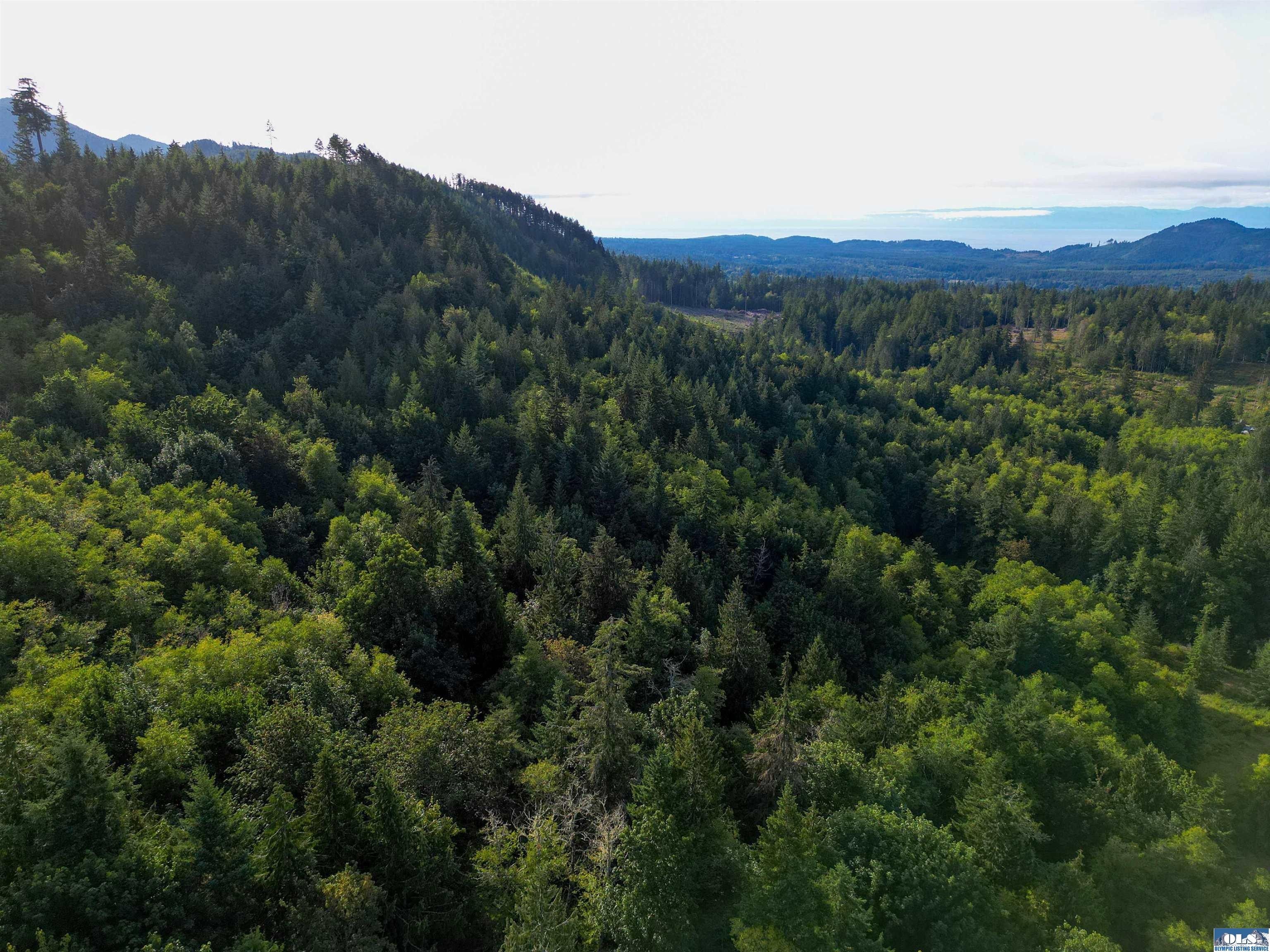 Port Angeles, Clallam County, WA Undeveloped Land for sale Property ID