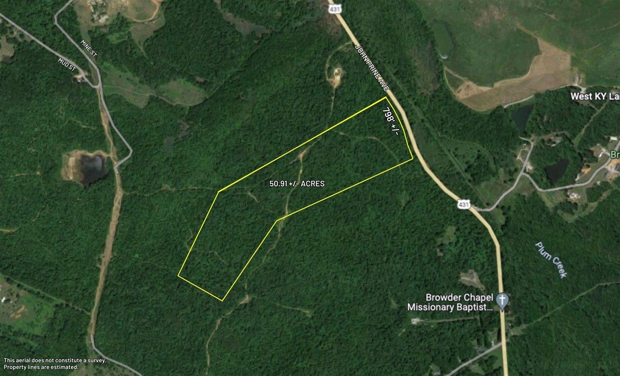 0 Highway 431, Drakesboro, KY 42337 MLS RA20233636 LandWatch