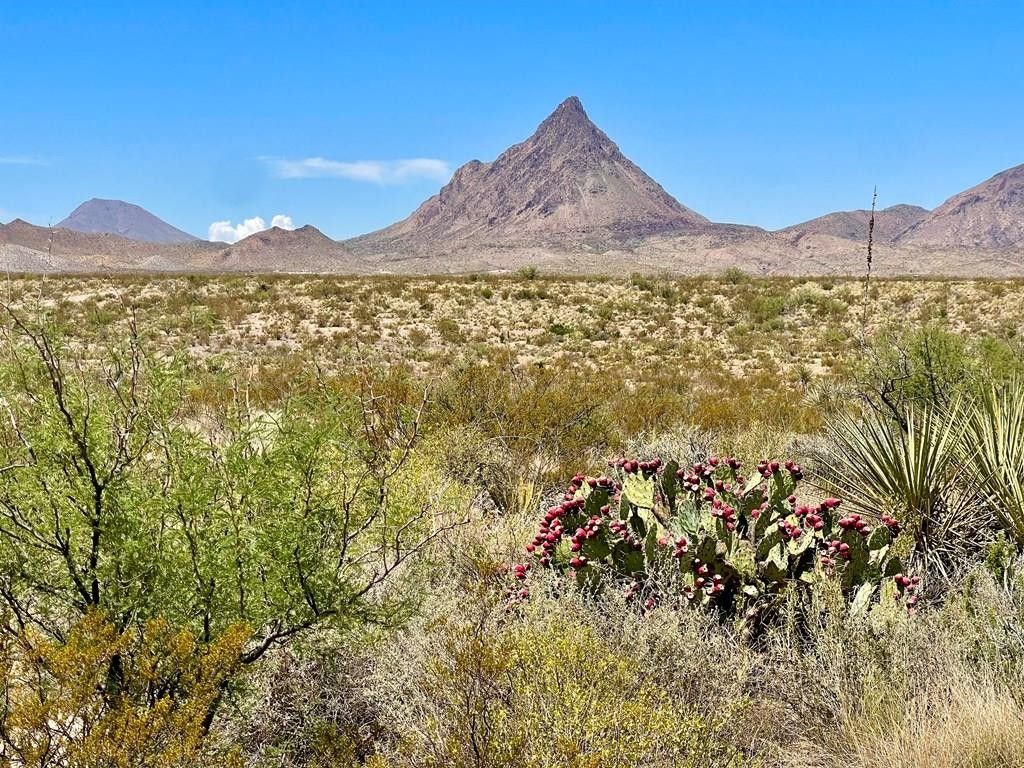 Terlingua, Brewster County, TX Undeveloped Land for sale Property ID