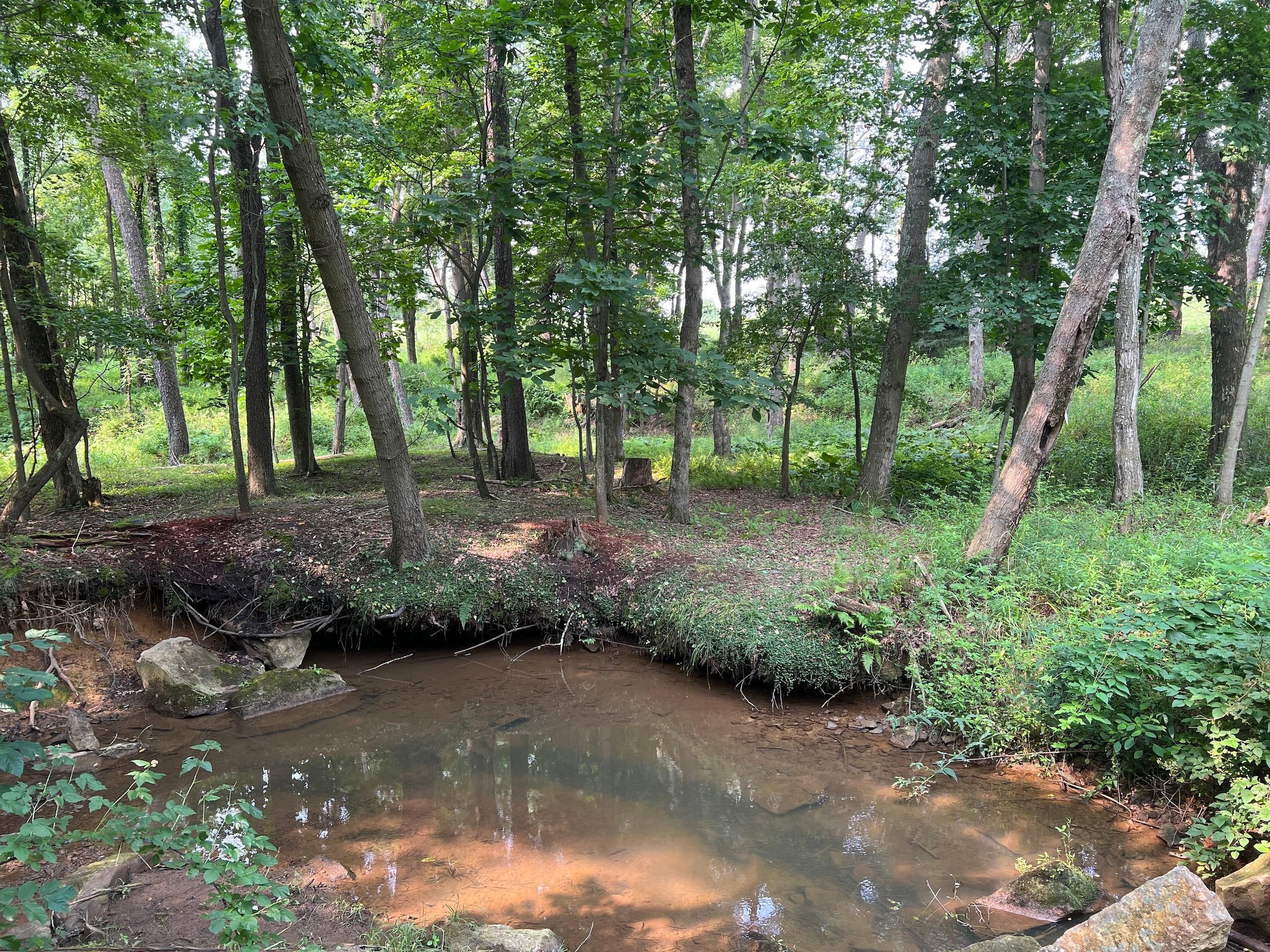 Lickingville, Clarion County, PA Recreational Property, Timberland
