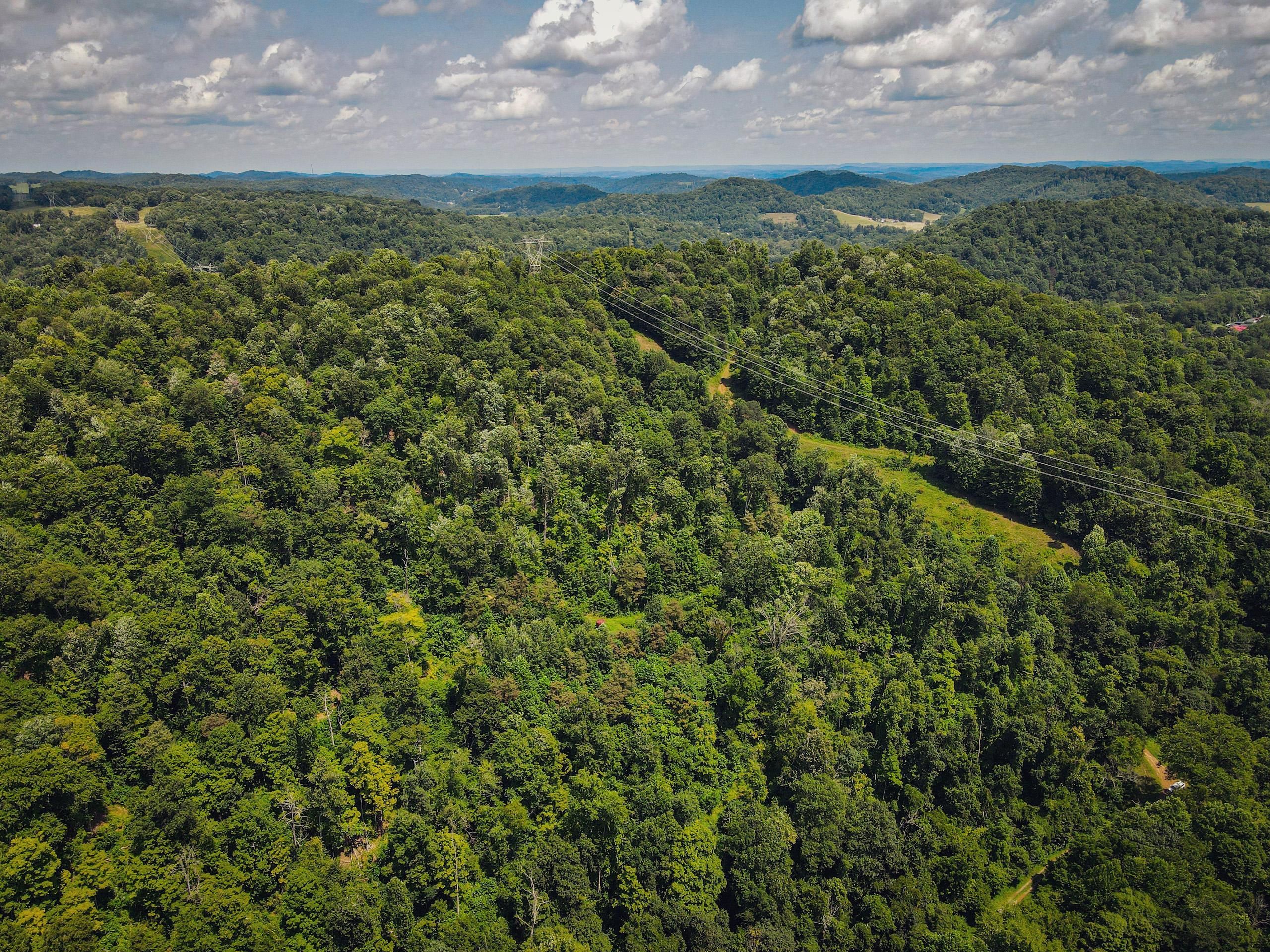 Worthington, Harrison County, WV Recreational Property, Timberland