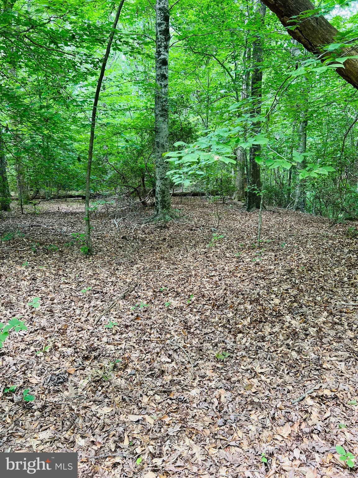 0 PURKINS COURT, Tappahannock, VA 22560 MLS VAES2000472 LandWatch