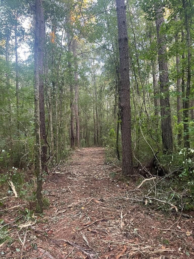 Poplarville, Pearl River County, MS Undeveloped Land, Homesites for