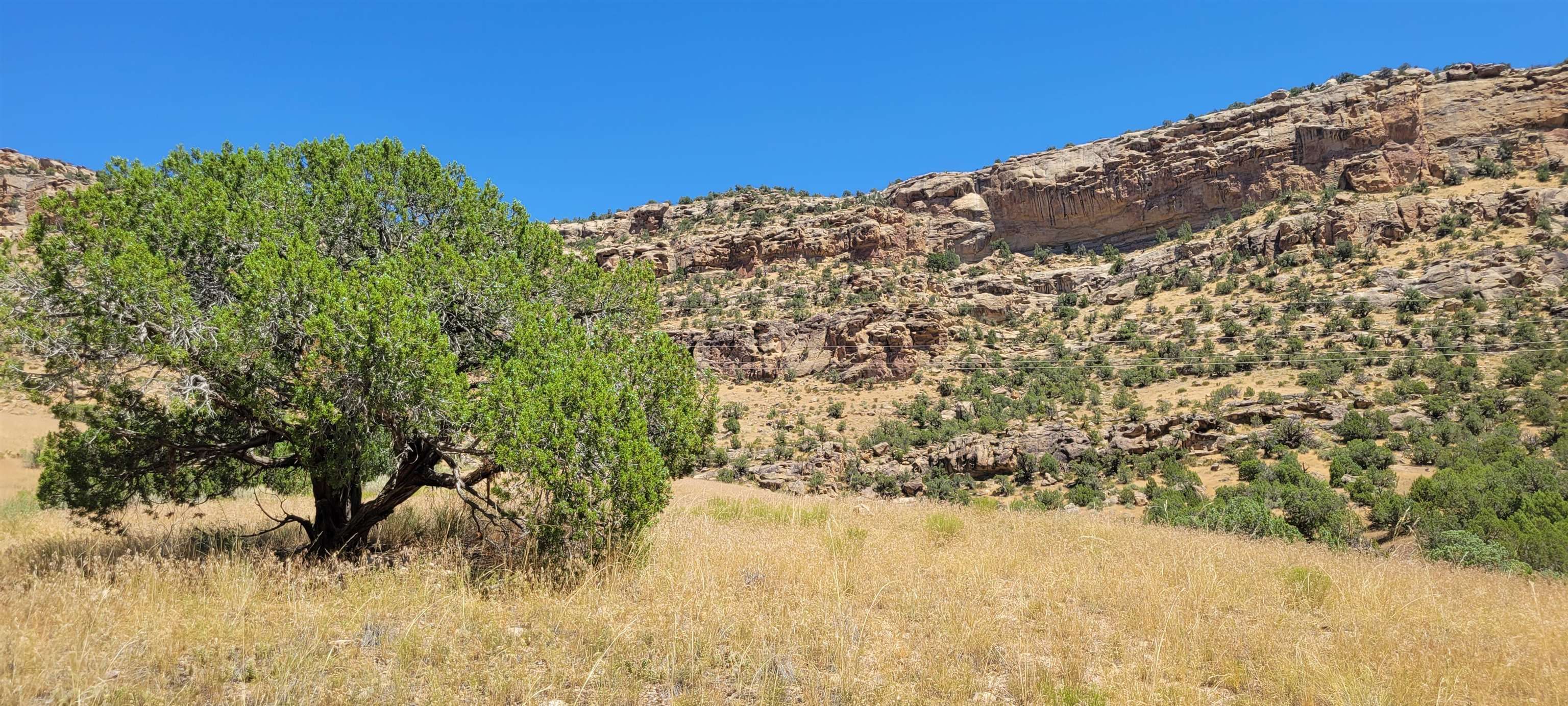 De Beque, Mesa County, CO for sale Property ID 417302453 LandWatch