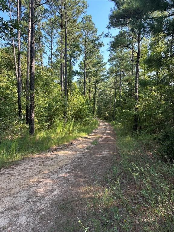 00 Centerville, Hosston, LA 71043 MLS 20403601 LandWatch