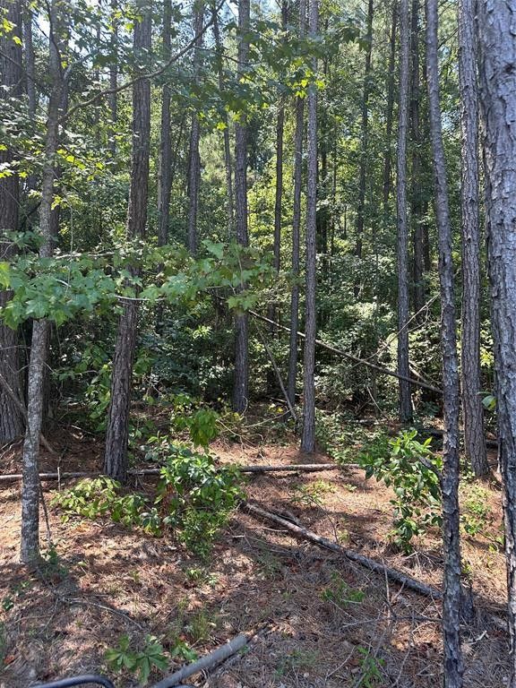 0 Gatson Rd, Spearsville, LA 71277 MLS 20403857 LandWatch