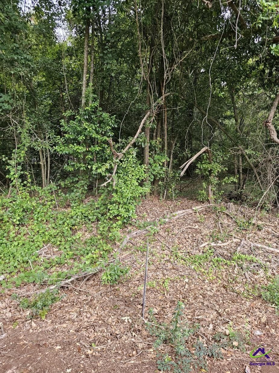 Montezuma, Macon County, GA Homesites for sale Property ID 417312955