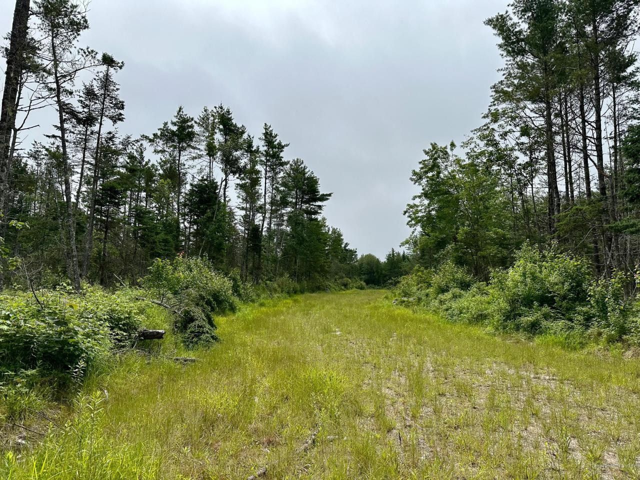 Surry, Hancock County, ME for sale Property ID 417313499 LandWatch