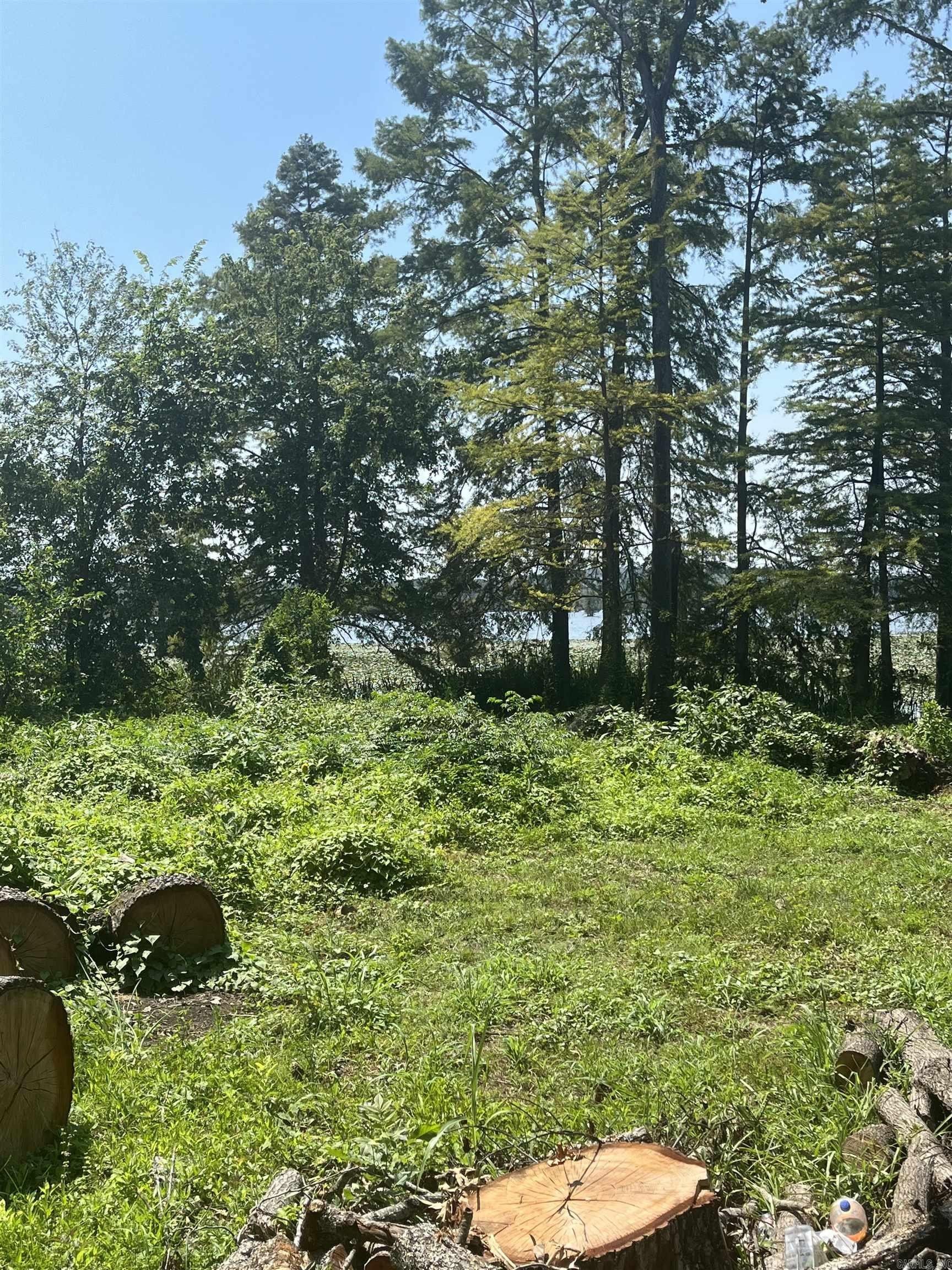 Conway, Faulkner County, AR Undeveloped Land, Lakefront Property