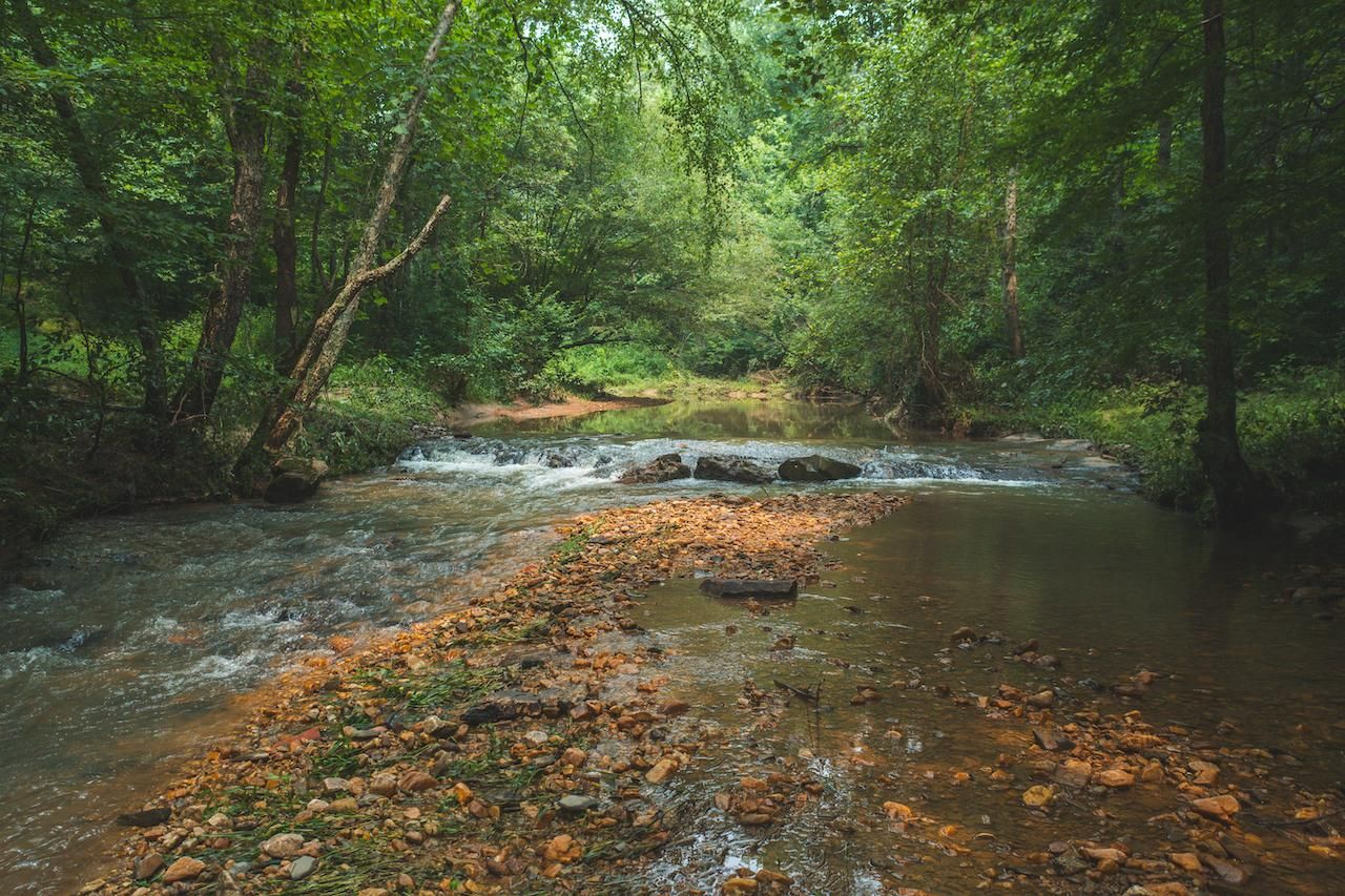 Taylorsville, Alexander County, NC Recreational Property for auction