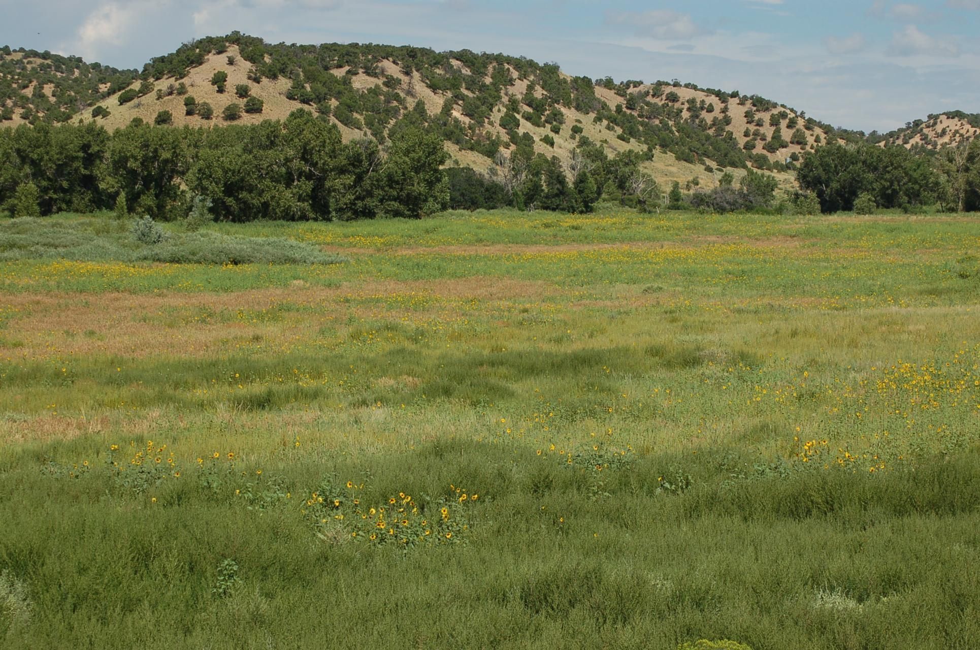 Walsenburg, Huerfano County, CO Farms and Ranches, Hunting Property for