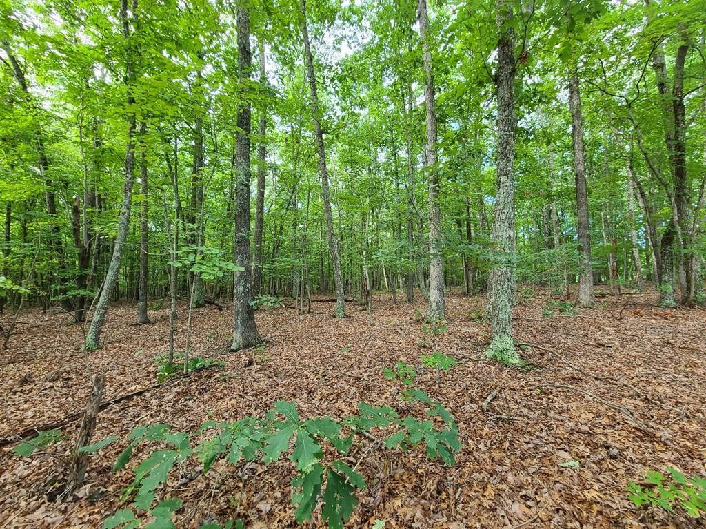 Gladstone, Nelson County, VA Undeveloped Land, Homesites for sale Property ID 417315938 LandWatch