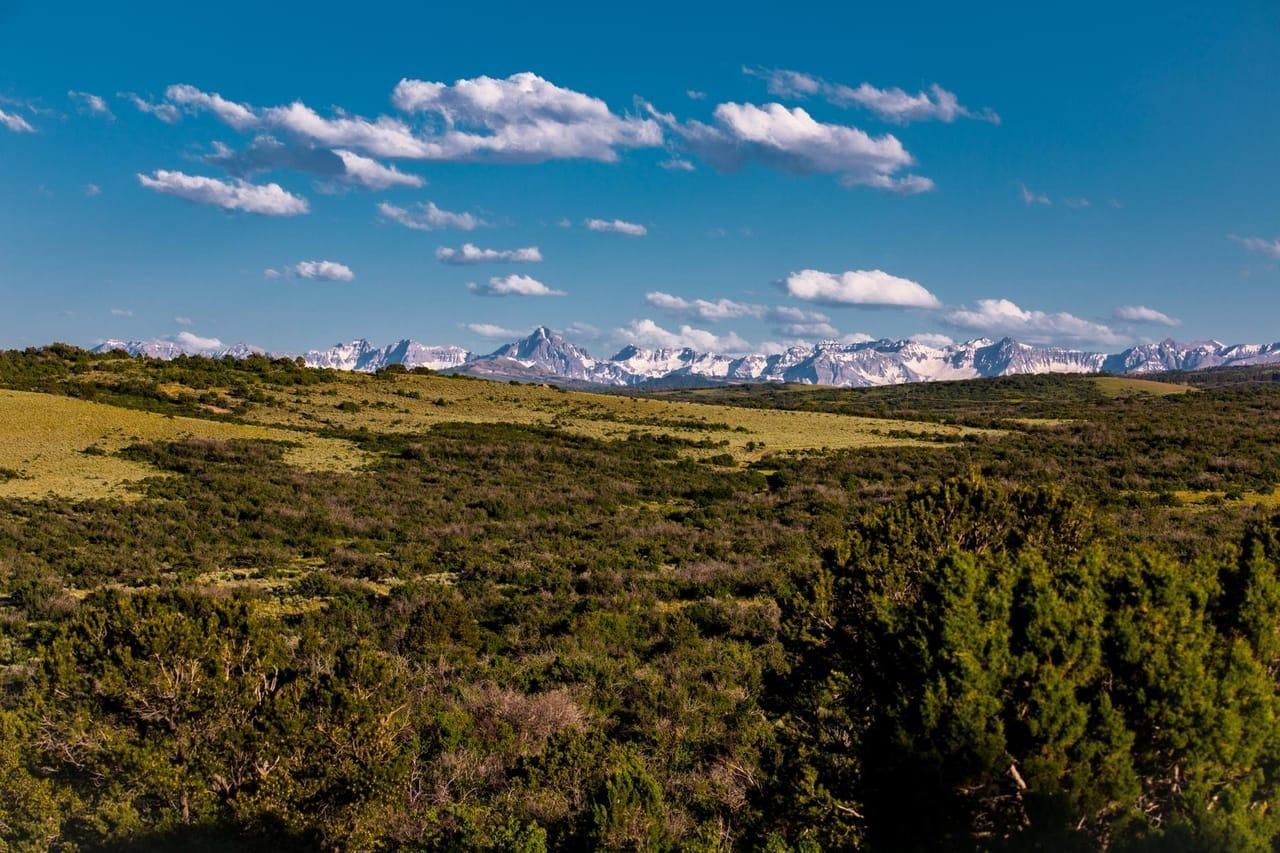 Montrose, Montrose County, CO Farms and Ranches, Hunting Property for